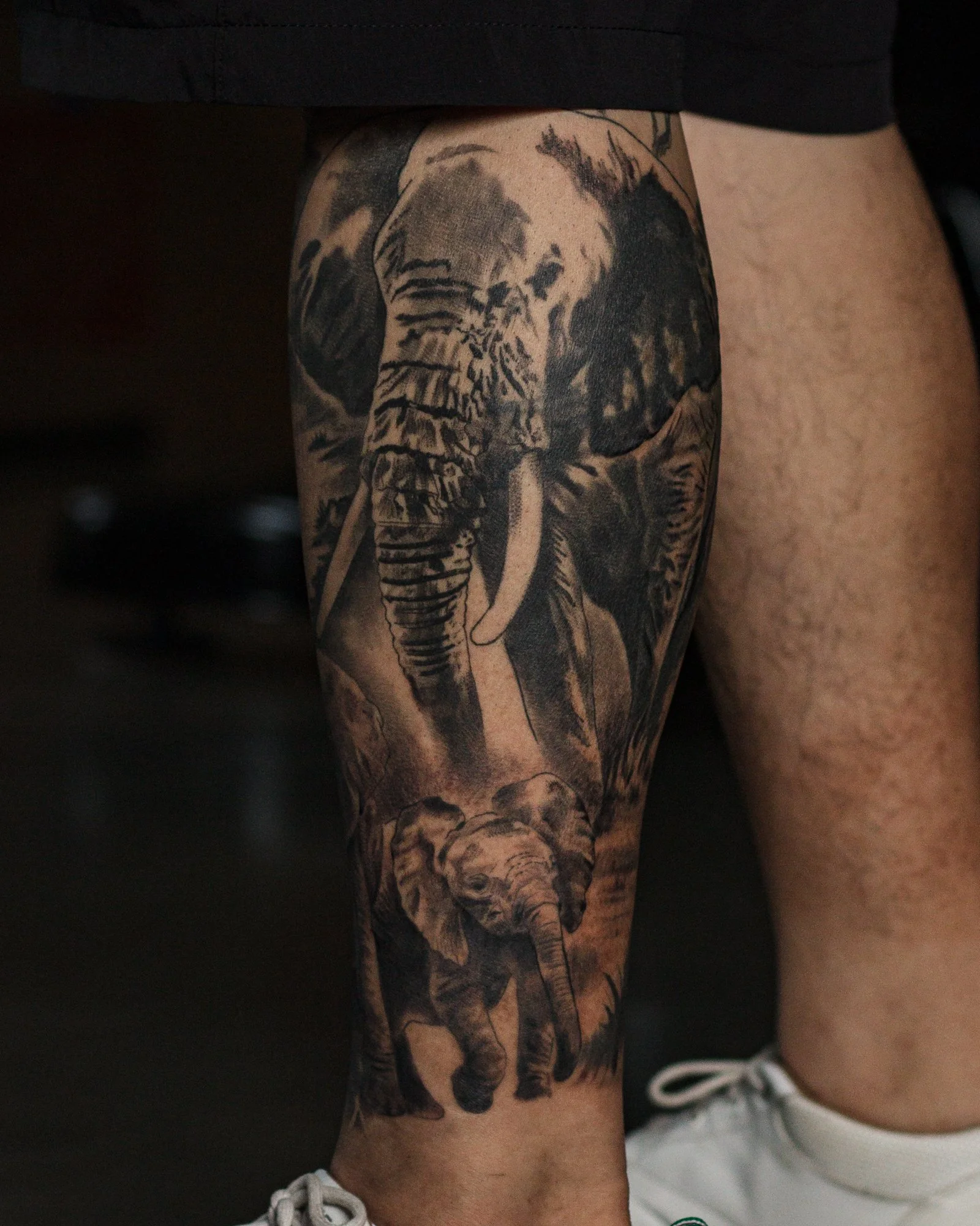 Elephant Family Leg Sleeve