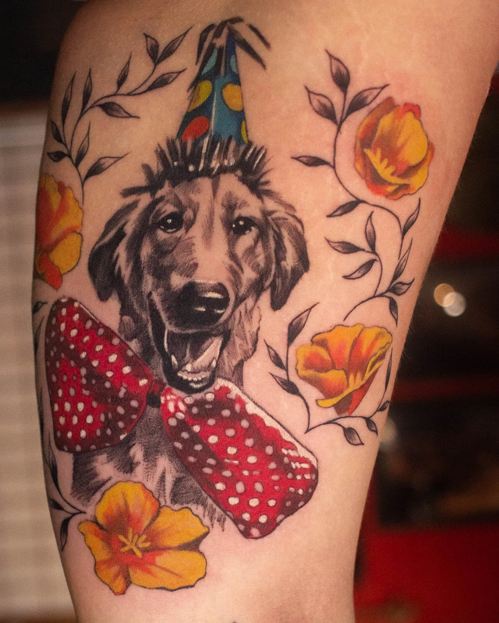 Haley-Pup Bday.jpg