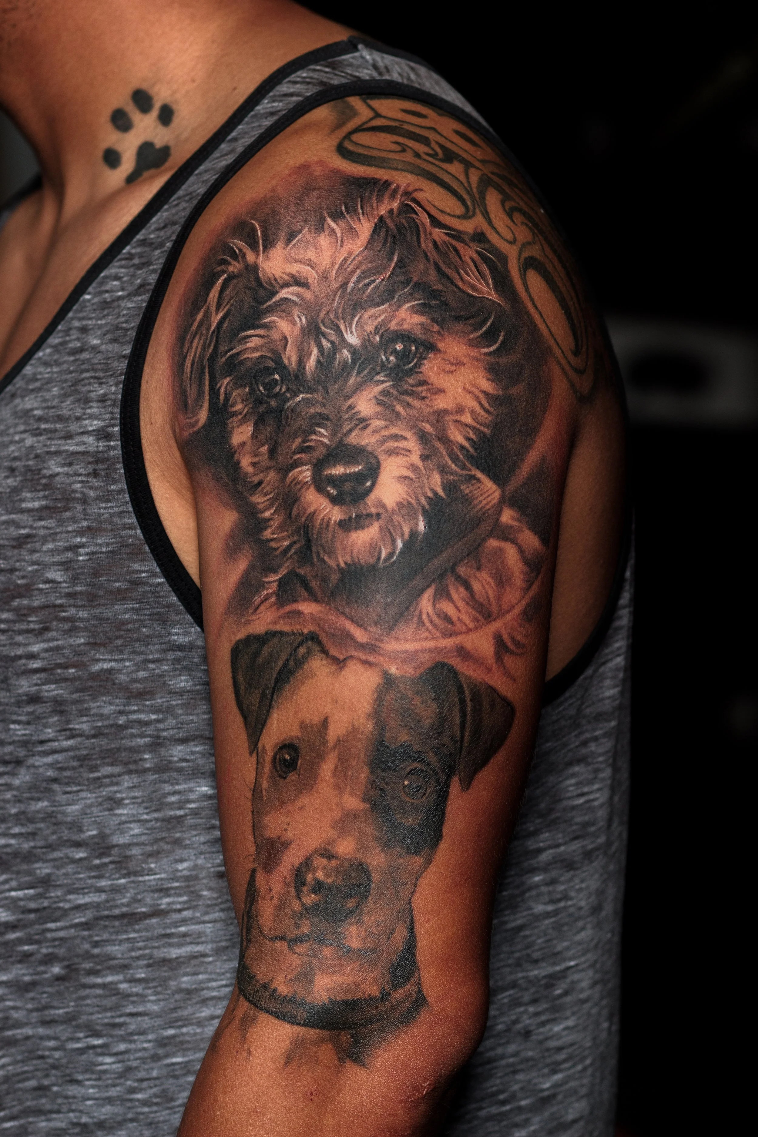 Erik-Dog Dag-Noodles-2.JPG