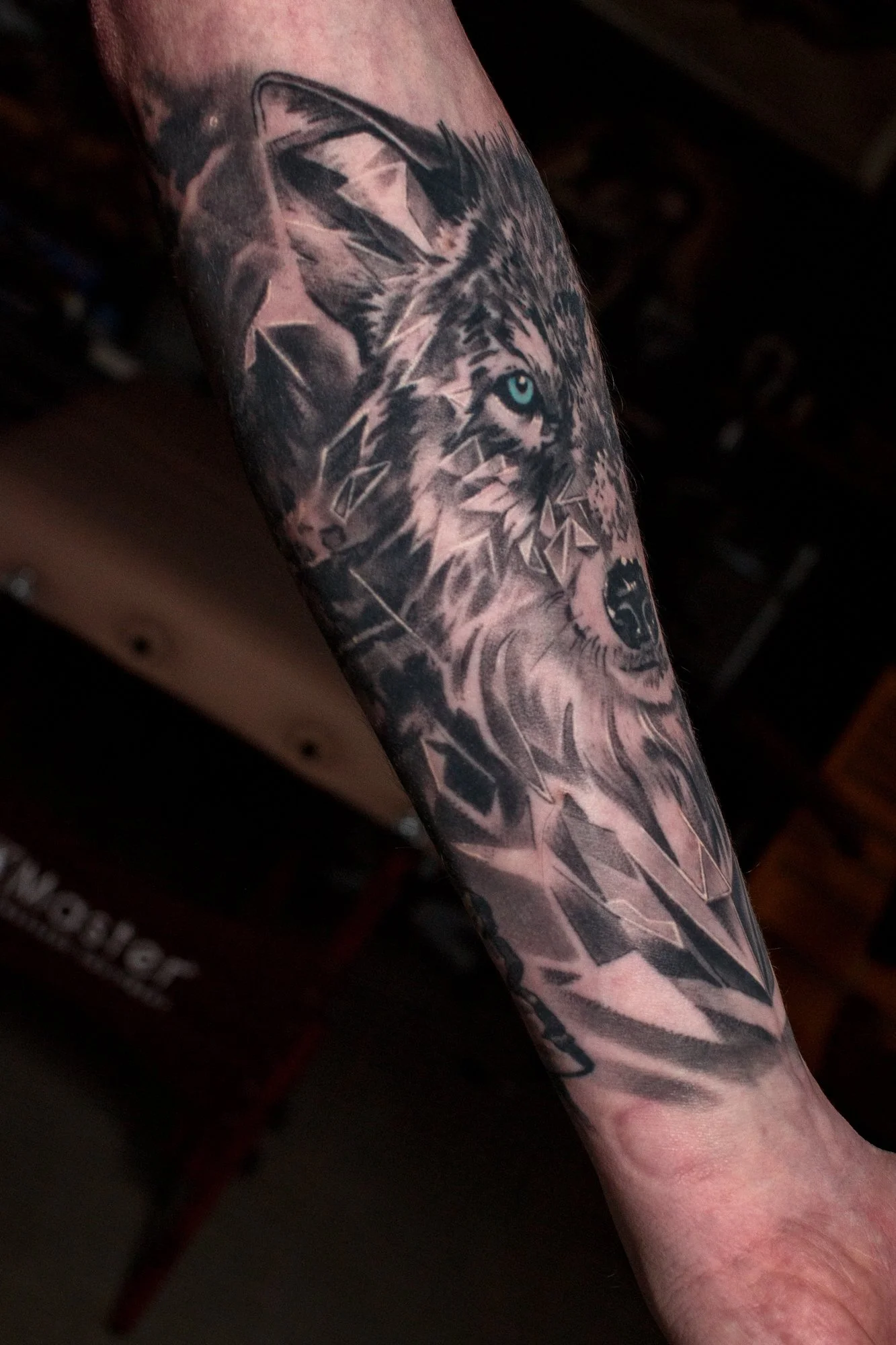 Healed Geo Wolf