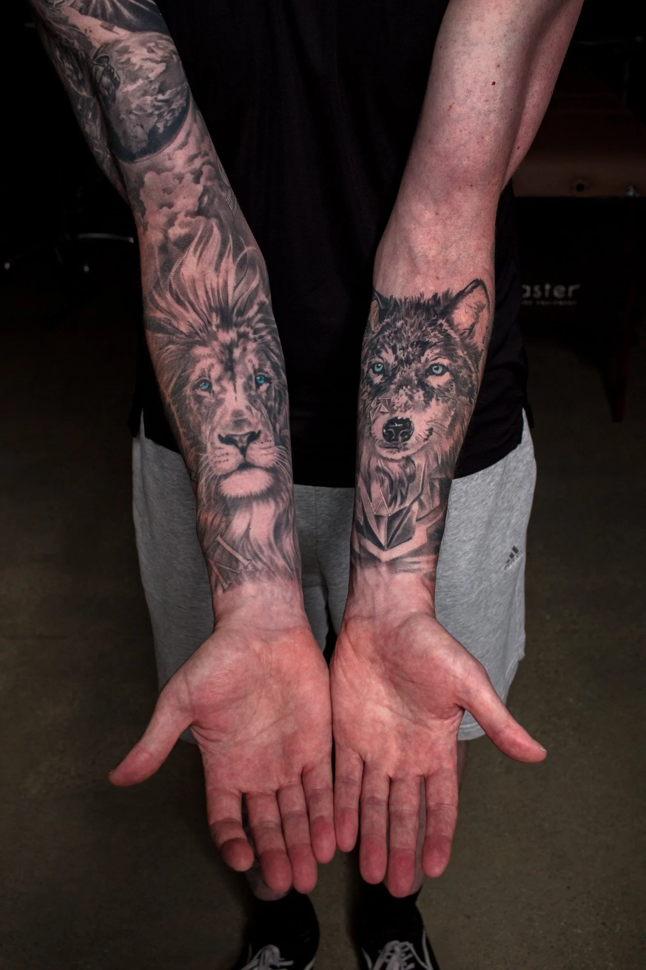 Healed Geometric wolf next to a healed lion