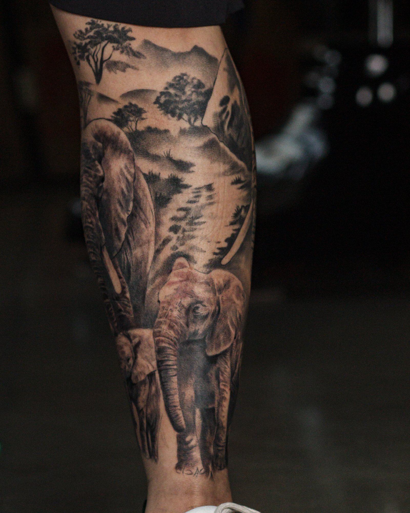 Elephant Family Leg Sleeve