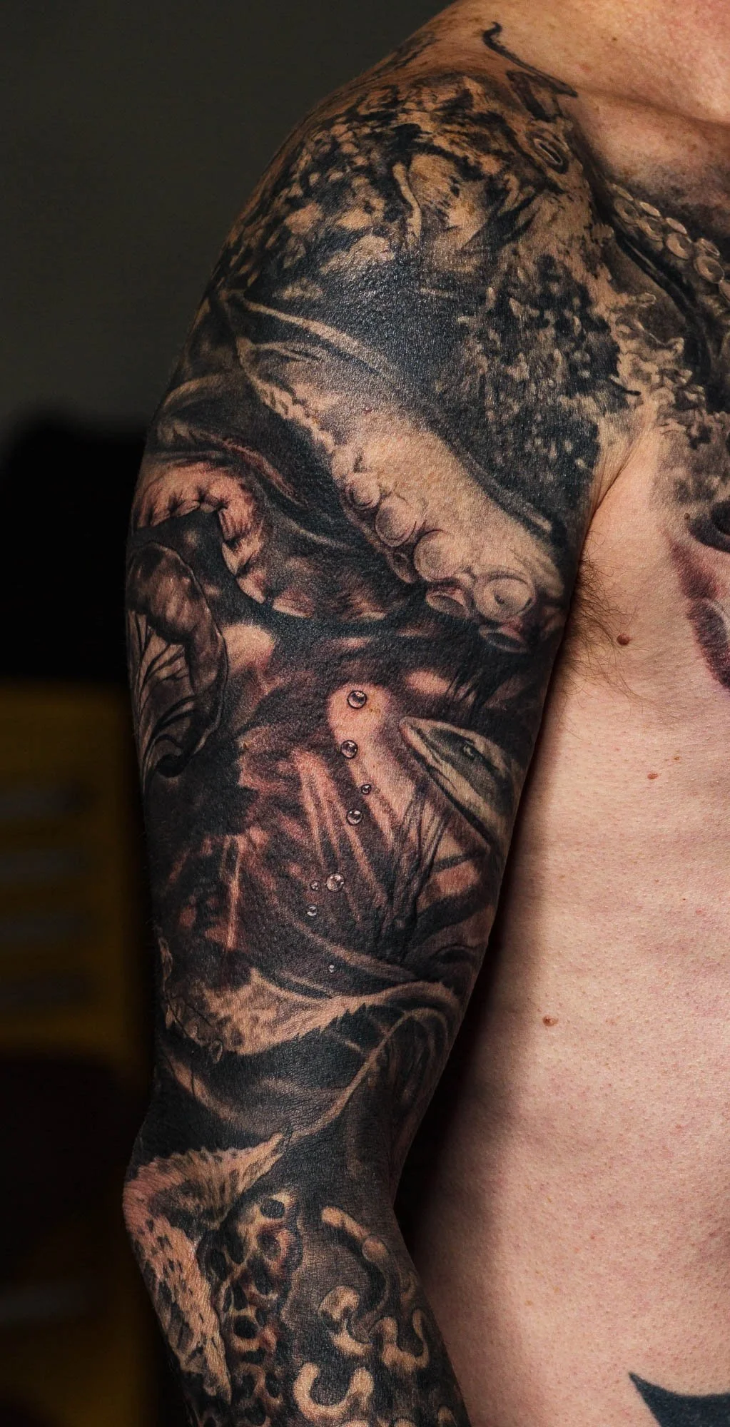 Tiger Shark Emerging from an underwater Kelp Forest