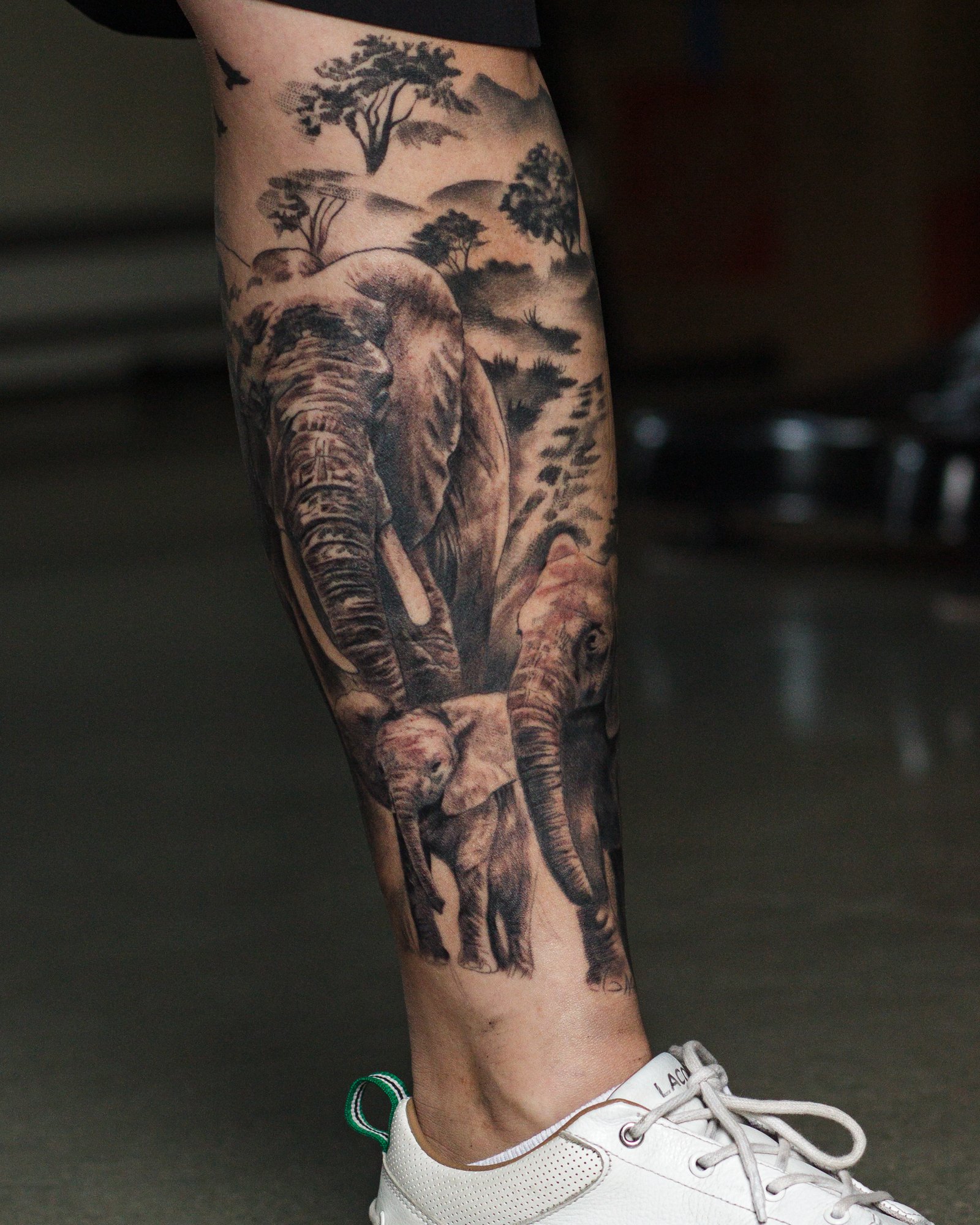 Elephant Family Leg Sleeve
