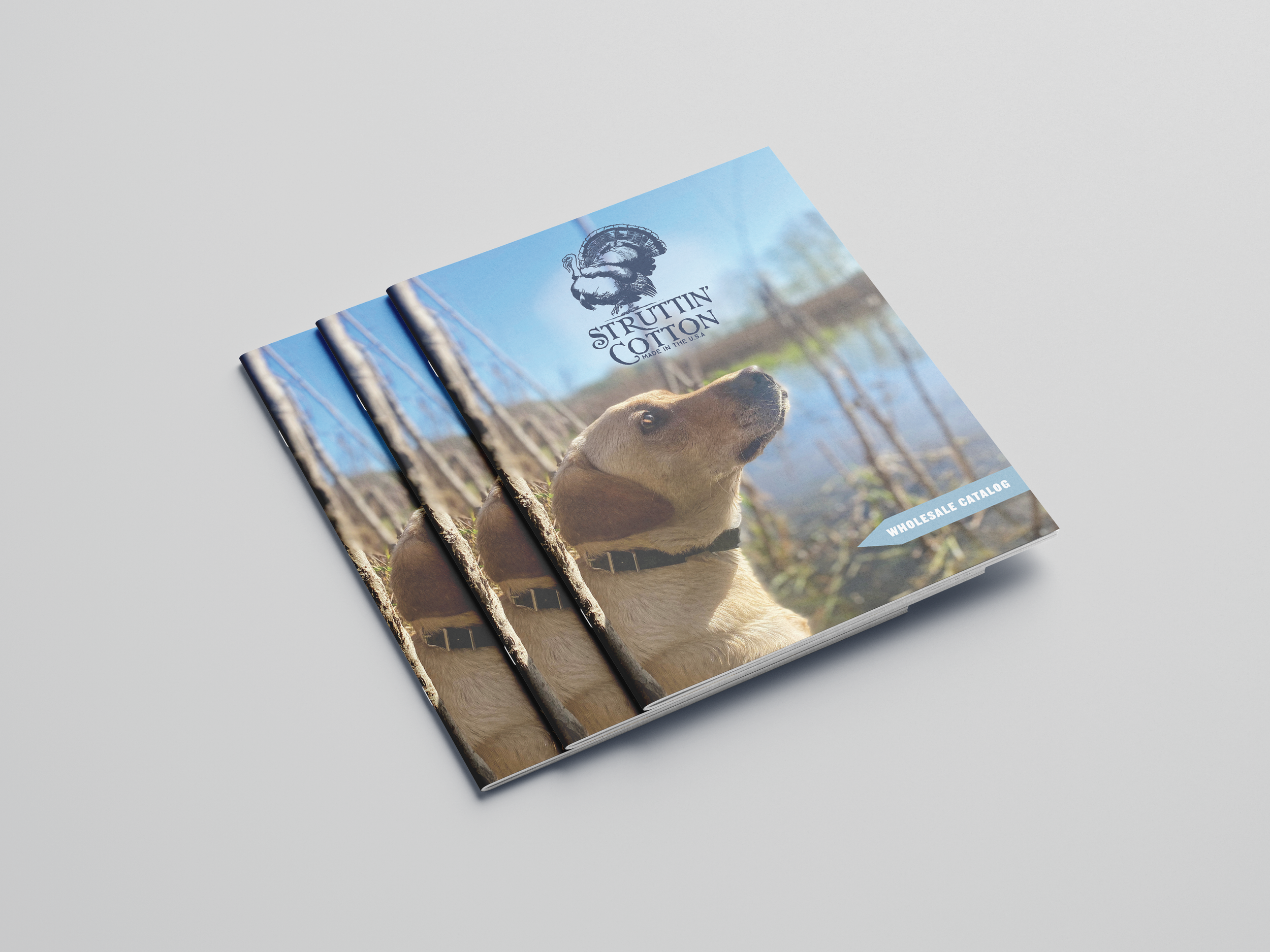 Free_Letter_Catalog_Mockup_02.png