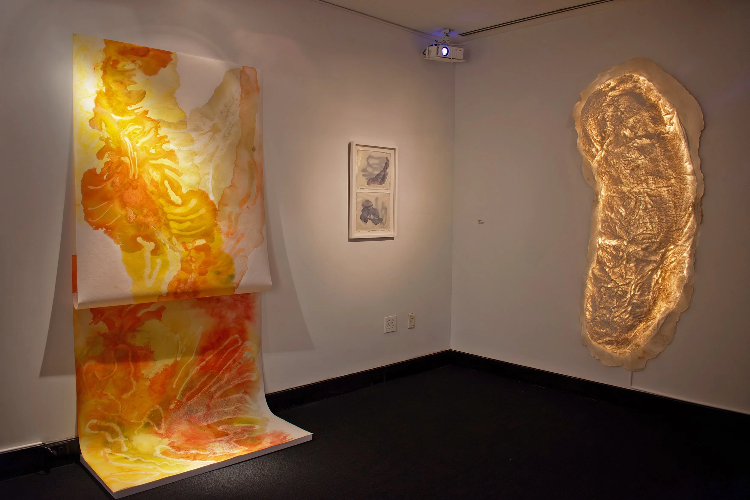 Structured Mapping &amp; Figure Form, Sara Garden Armstrong