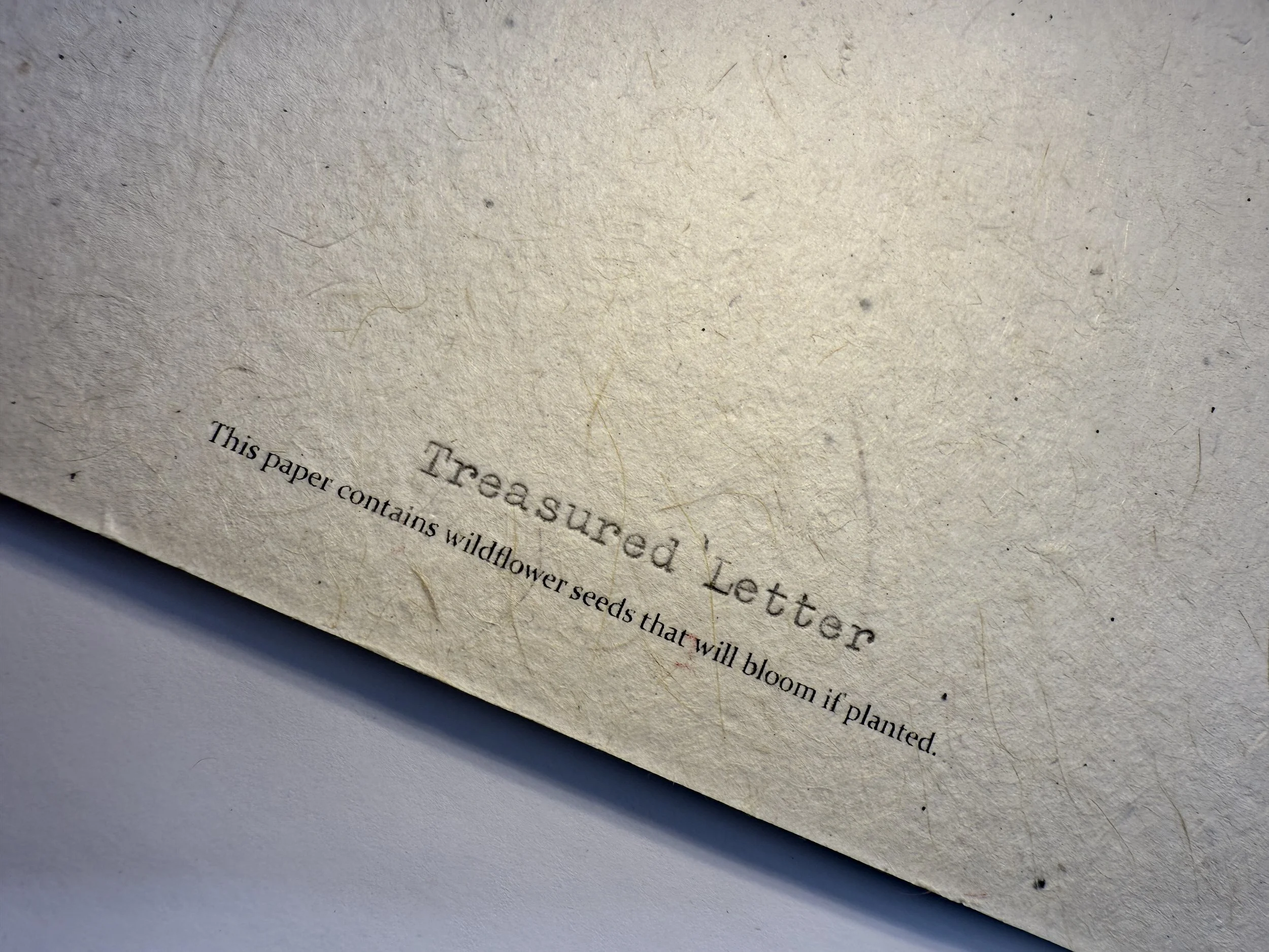 IMG_0690.JPG (Copy) (Copy)