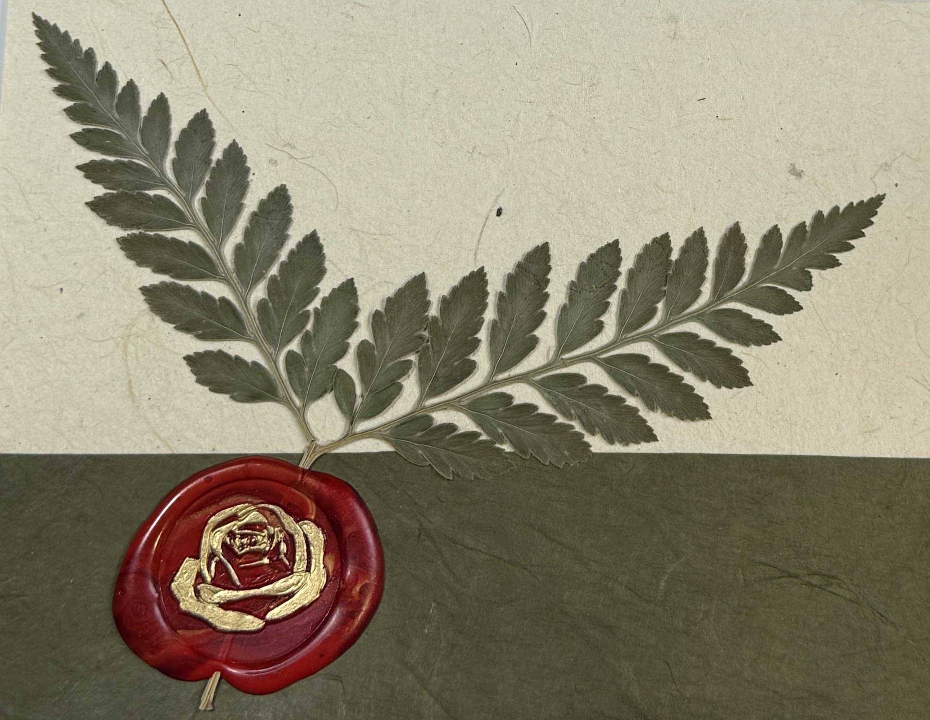 One-of-a-Kind Blank Fern Handmade Card for Any Occasion