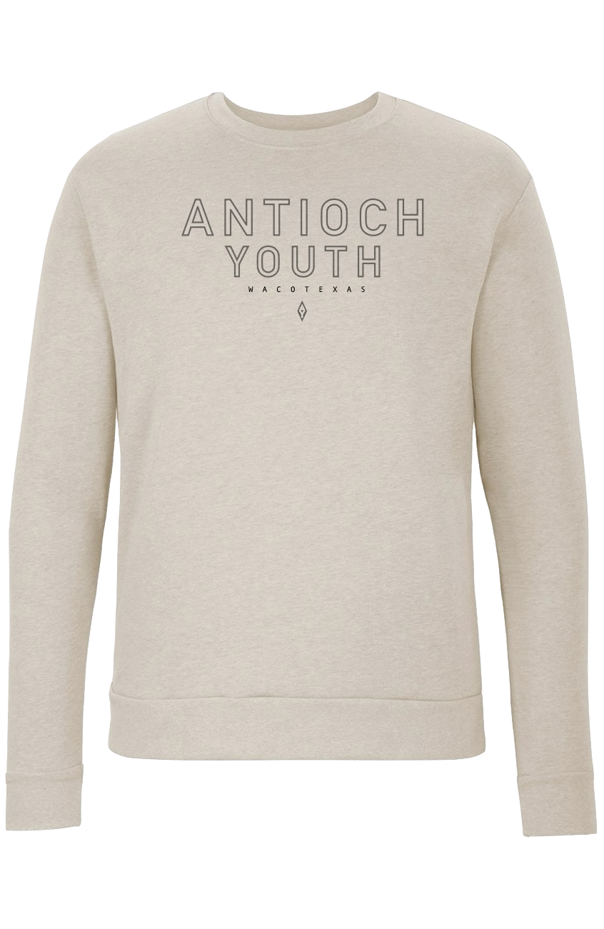 Oatmeal Crewneck $25