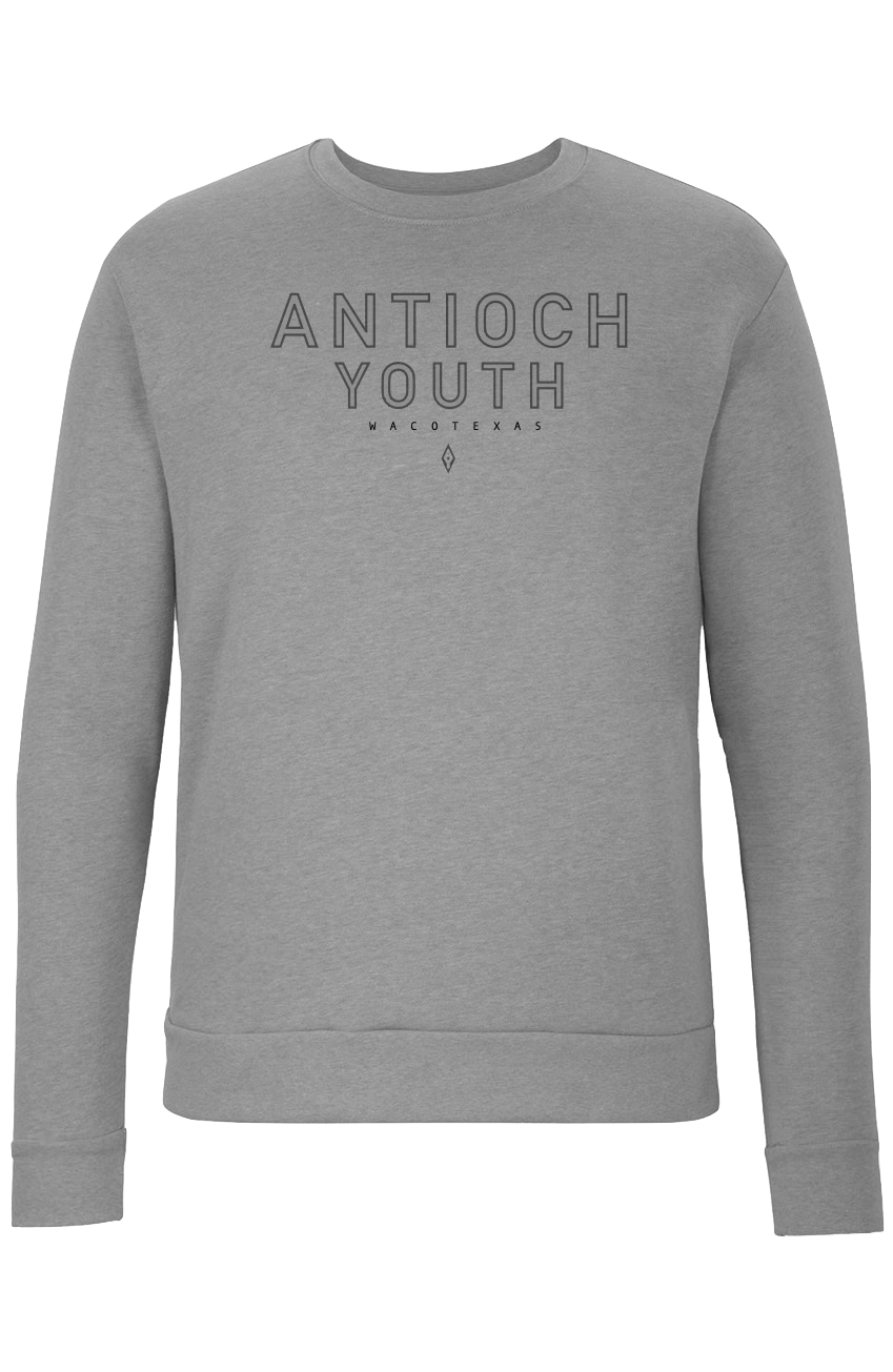 Gray Crewneck $25