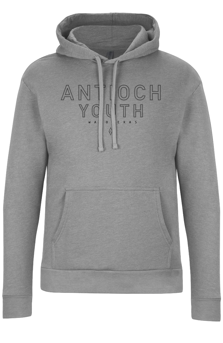 Gray Hoodie $30