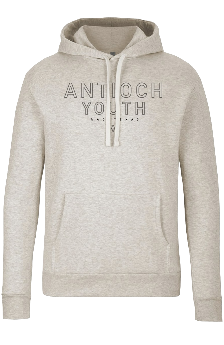 Oatmeal Hoodie $30