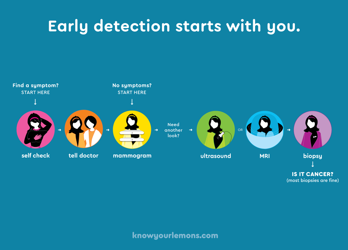 recherche fondation know your lemons