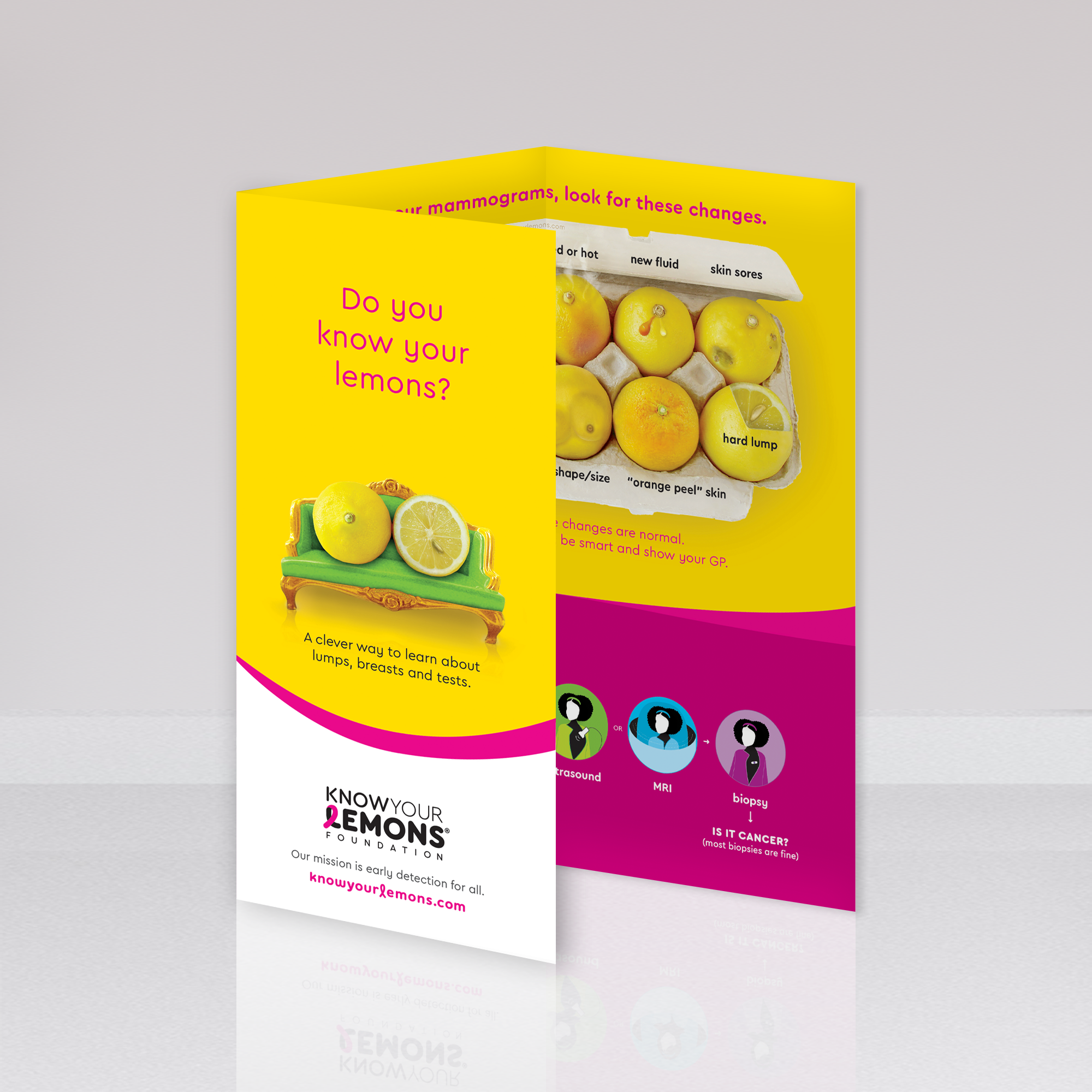 recherche fondation know your lemons