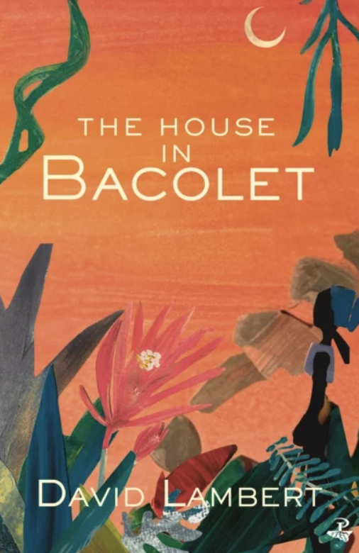 The House in Bacolet by David Lambert