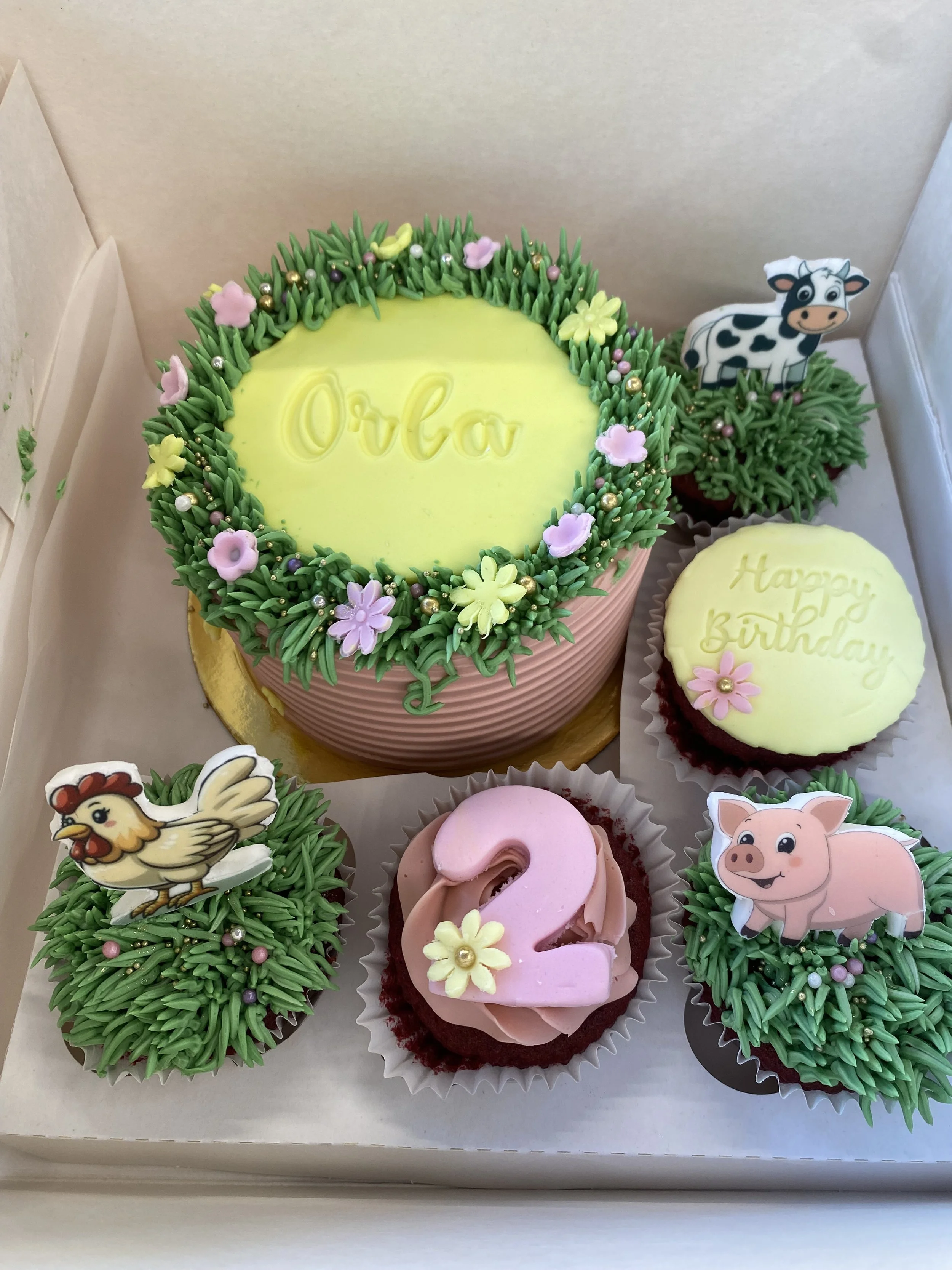 Personalized Bento Cake with Edible Pictures | Kids Birthday Kit – Gifts and Treats