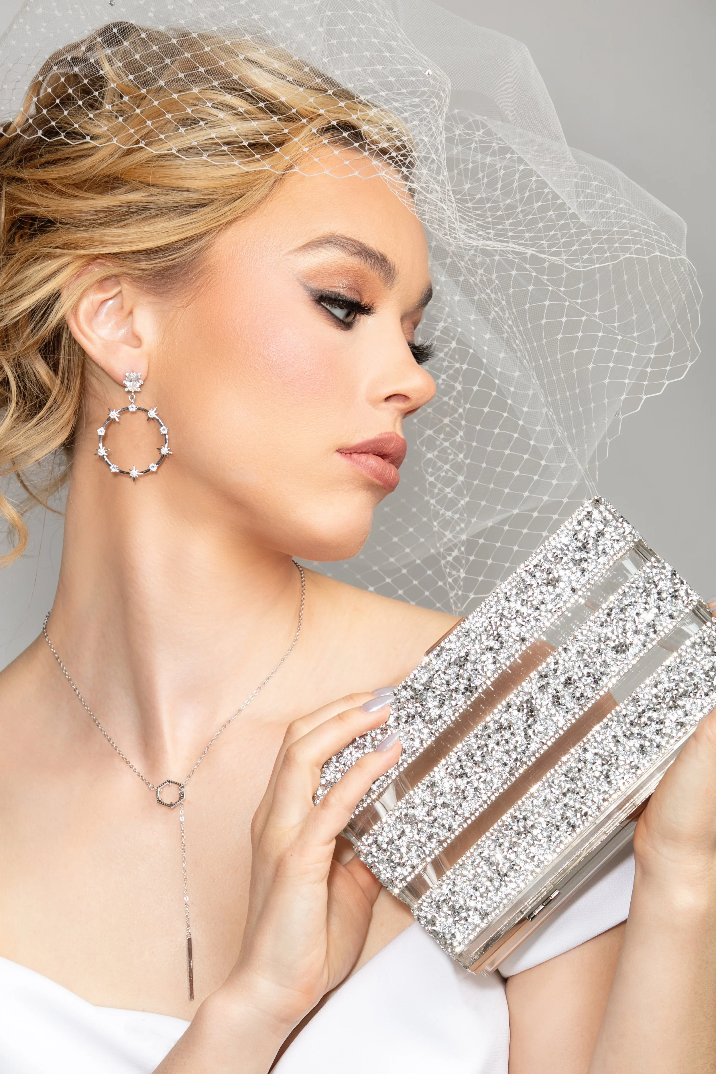 Antoinette  Birdcage, Vera Earrings, Veronica Necklace,  Vienna Ring, Ultra Clutch in Silver_cropped.jpg