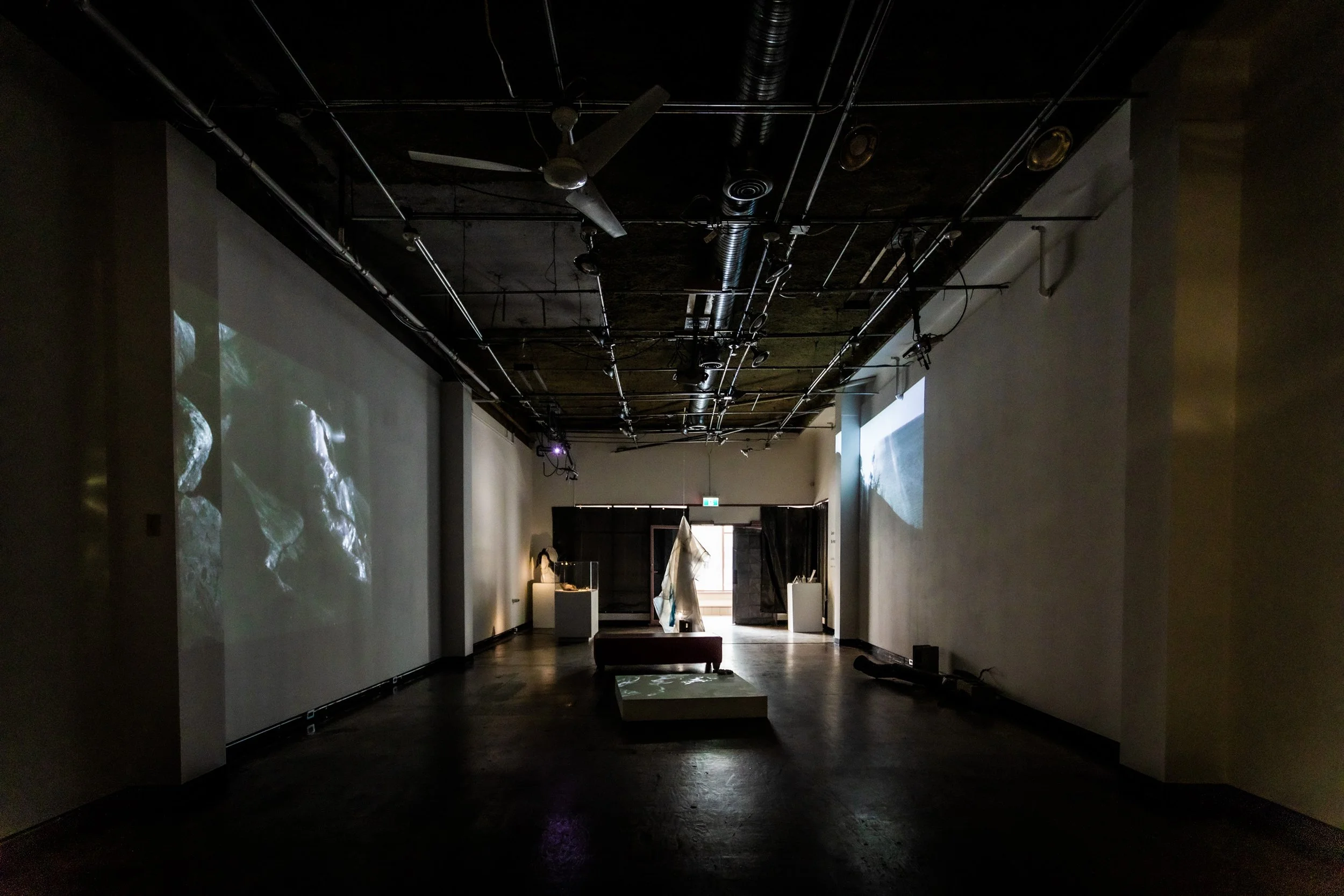 Letter from the Editor (Winter 2022)