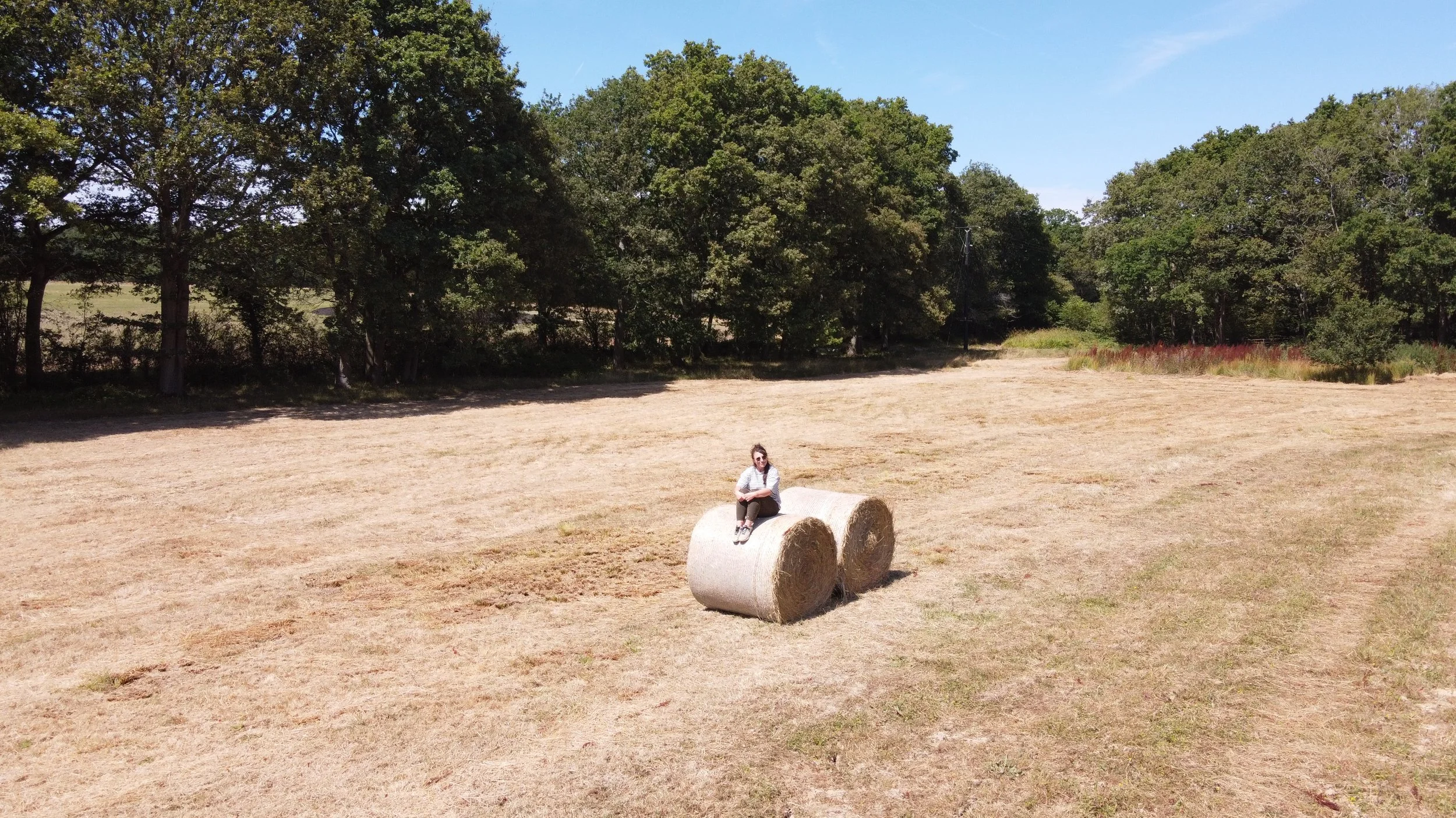 DJI_0379.JPG