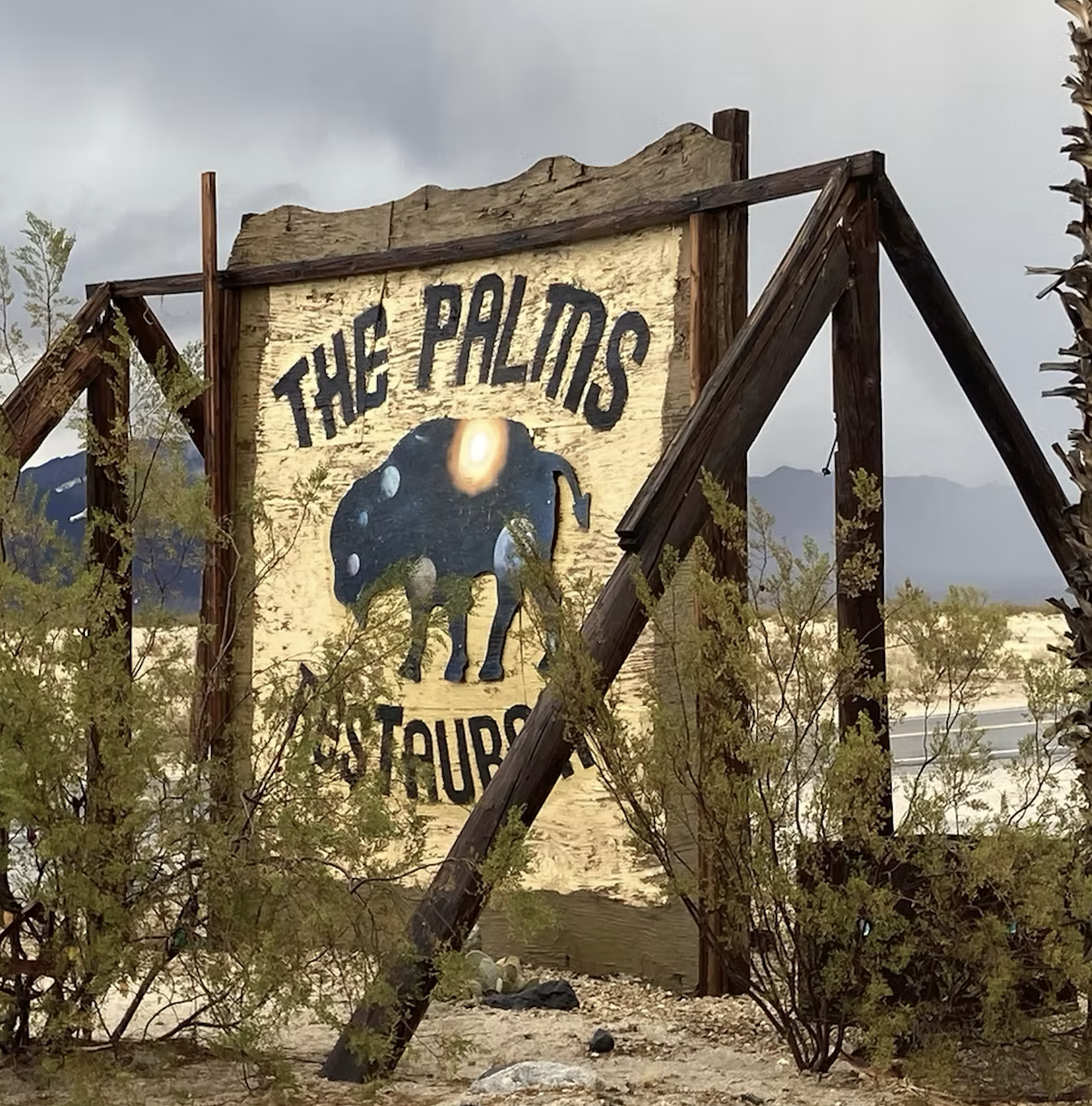 COMEDY CAMPOUT FESTIVAL