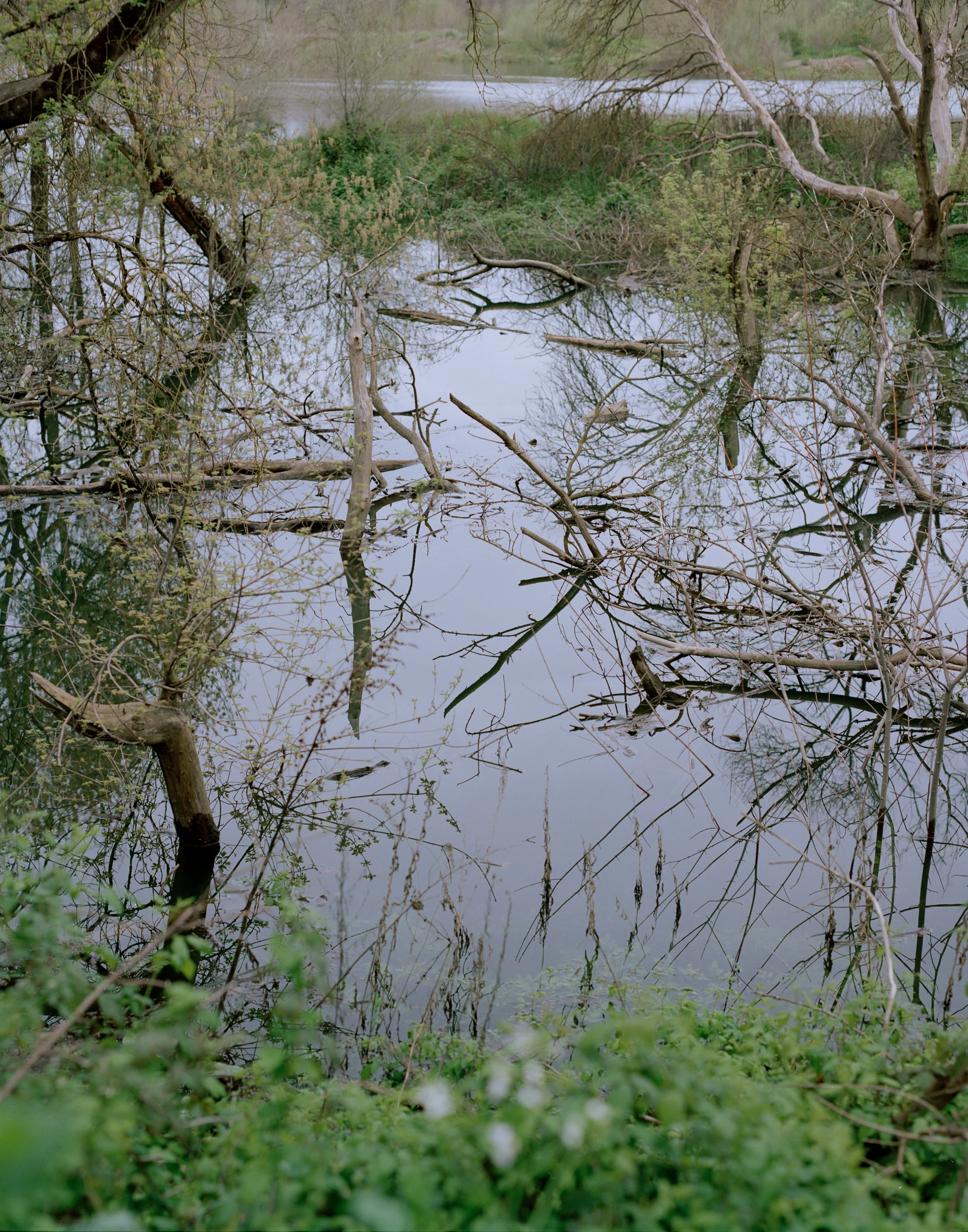 MarchMF26Film005_2.jpg