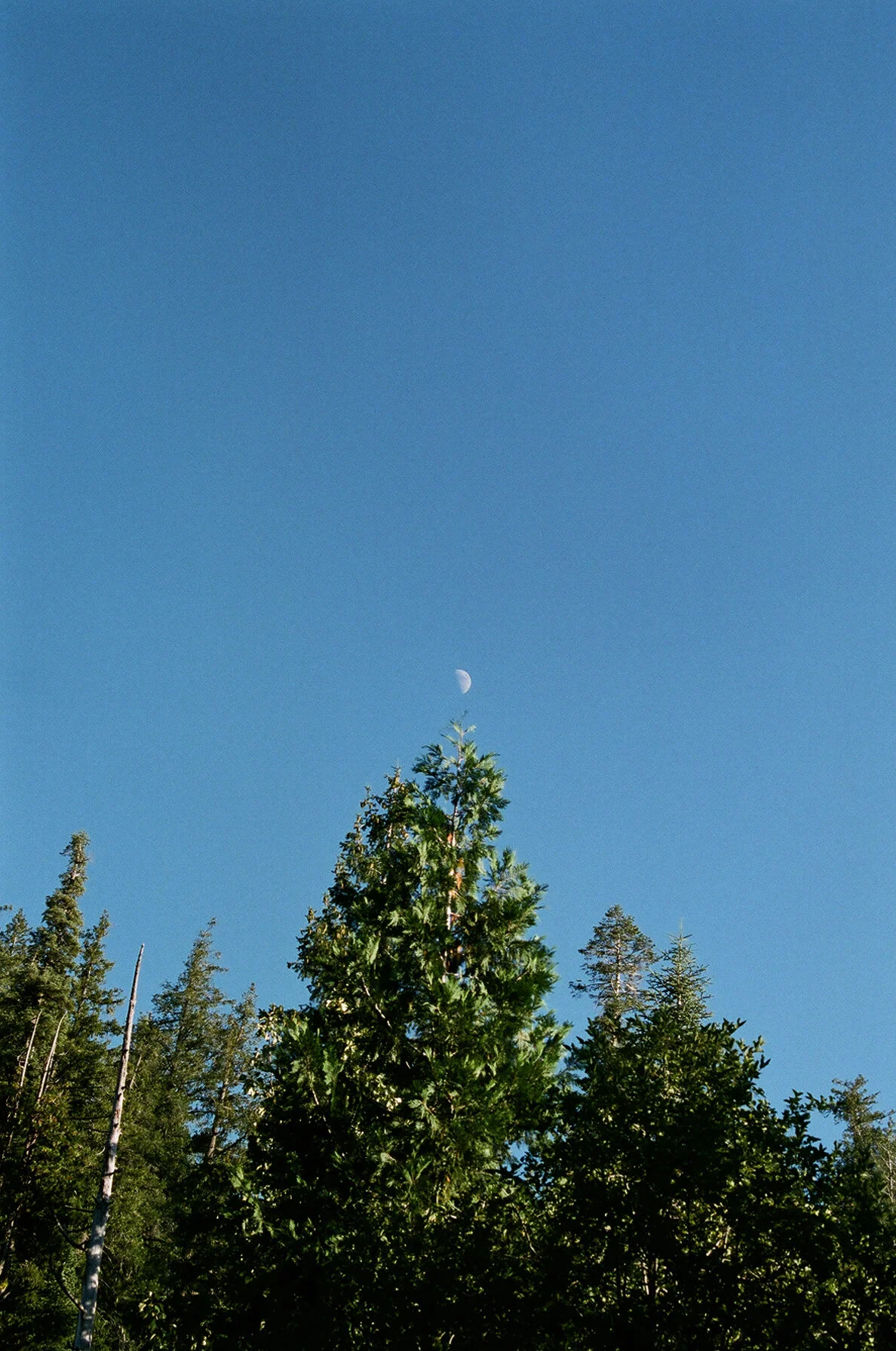 69250036.JPG