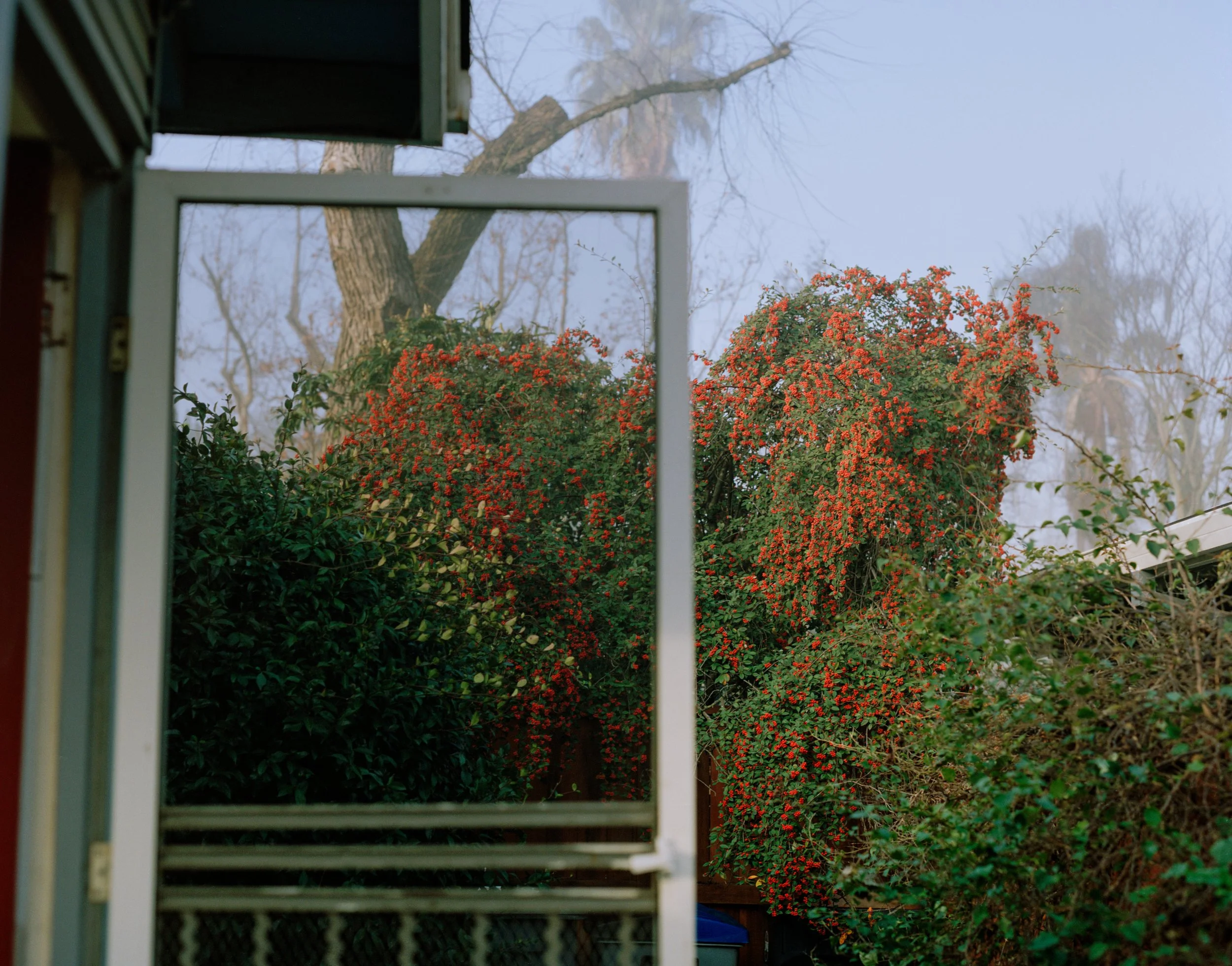 JanMF26Film009_2.jpg