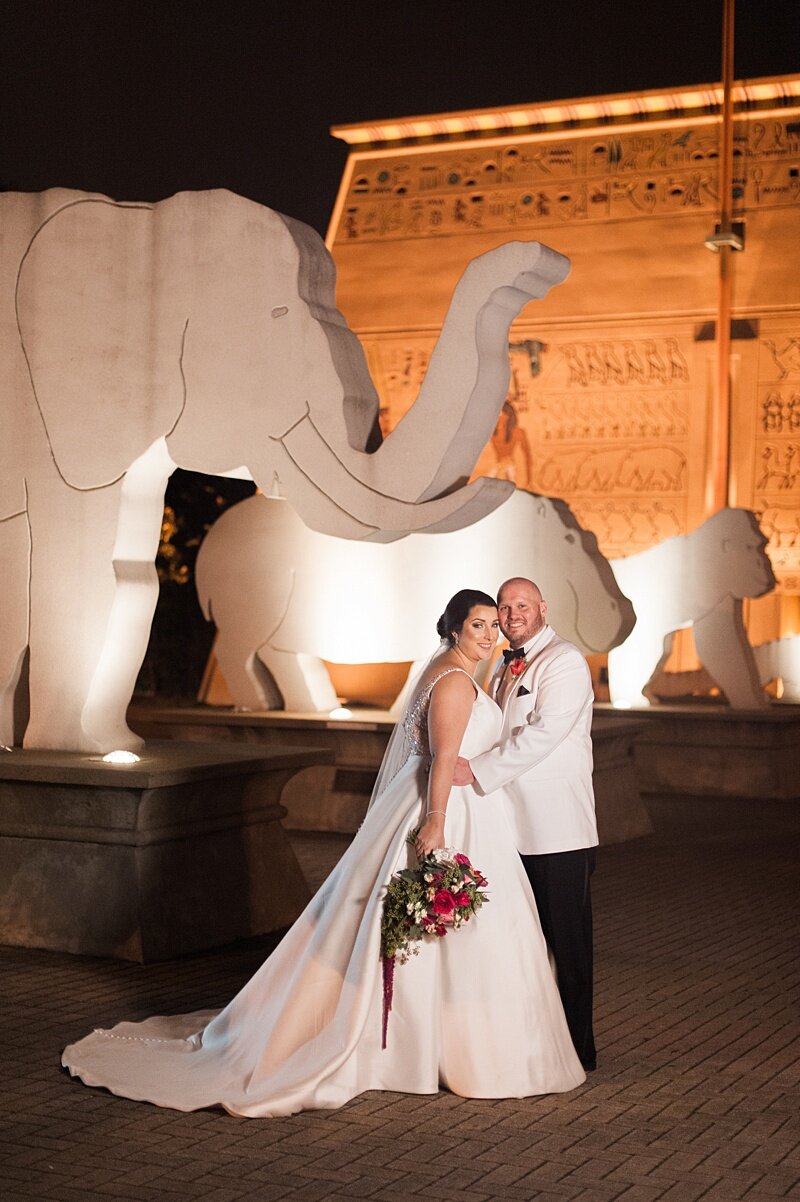 black_tie_winter_formal_memphis_zoo_wedding_01.jpg