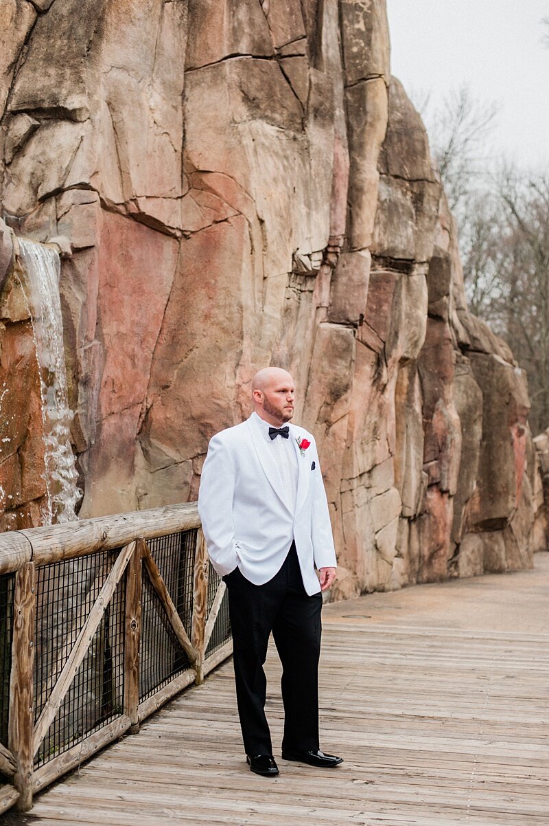 black_tie_winter_formal_memphis_zoo_wedding_10.jpg