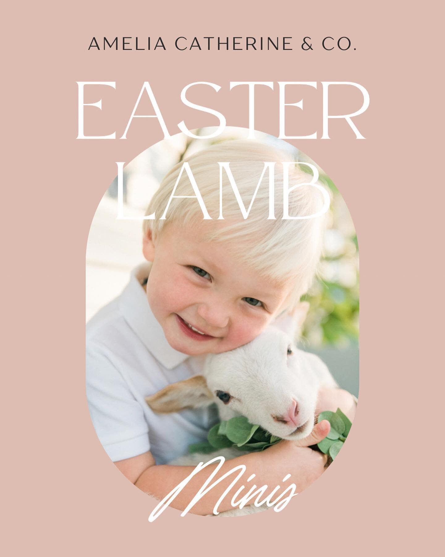 Surprise! It&rsquo;s another GIVEAWAY!👏🏻 I&rsquo;m so excited to kick off Easter Lamb minis this Sunday at @thechapelatlivingston! 🥳 A few spots still remain! And good news, I&rsquo;ve added multiple days and times throughout the month of March fo