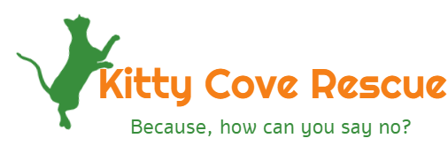 Kitty Cove Rescue