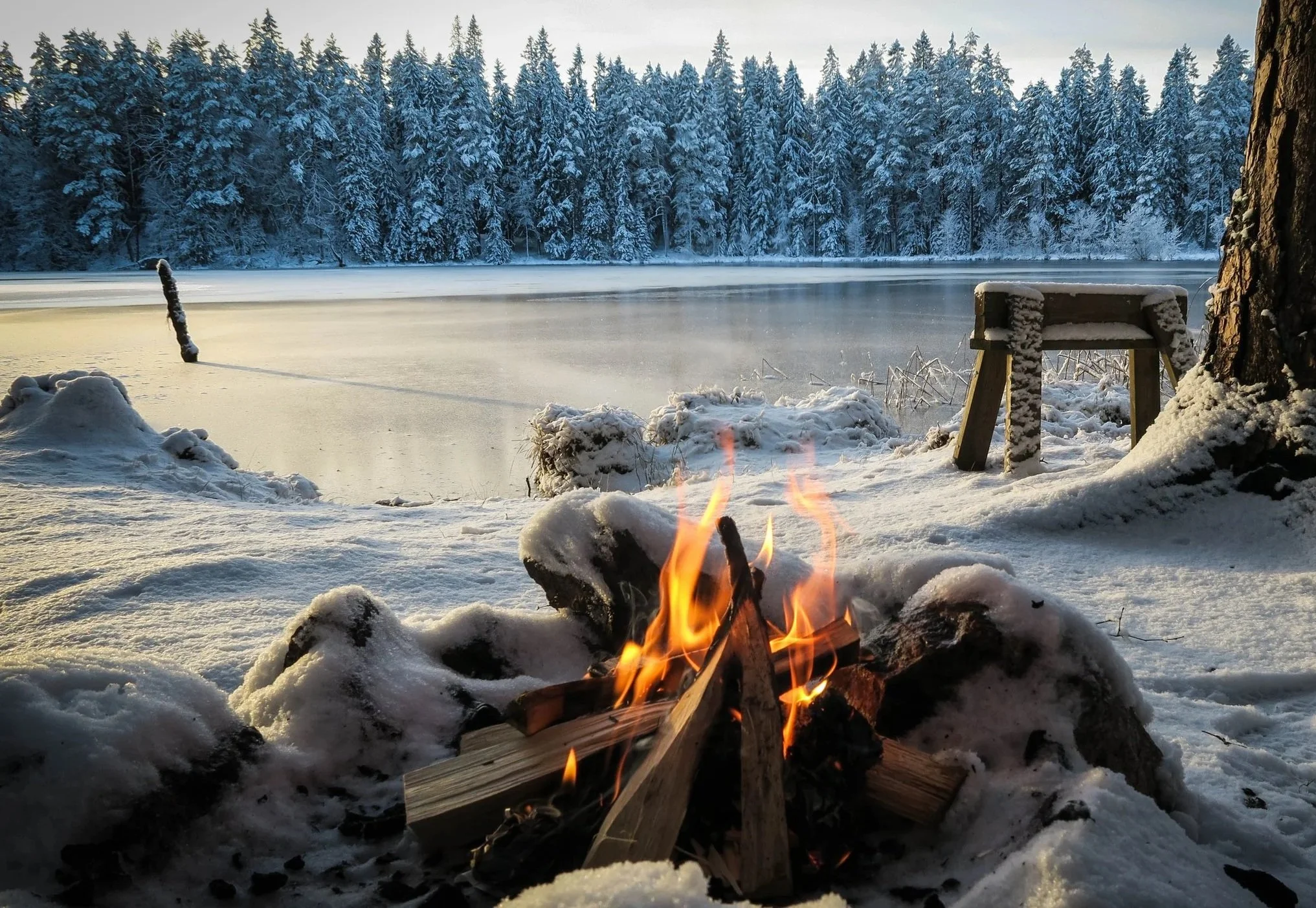 camp fire on snow in front of frozen lake at sunrise