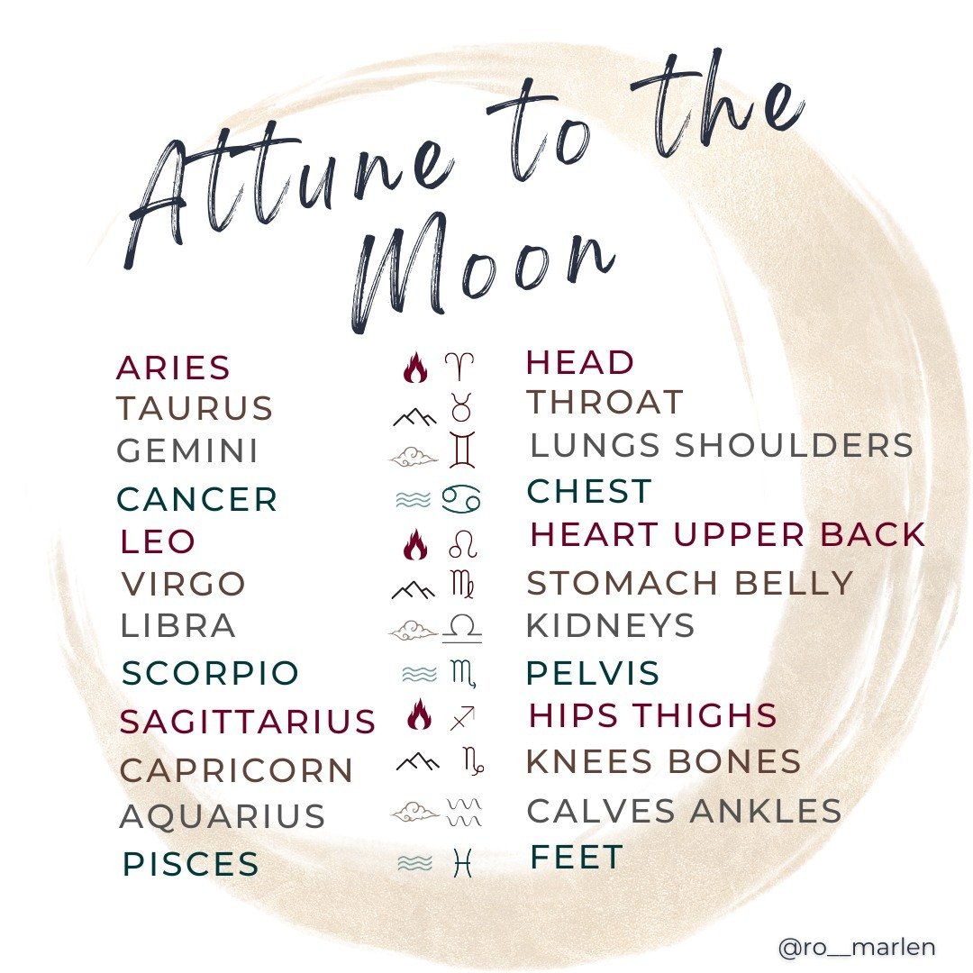 Each month as the moon travels through her different phases the forces of gravity affect different parts of our body.

In the waxing moon we fortify and nourish these areas, in the waning moon we can support them to release, relax and rest.

Bit by b