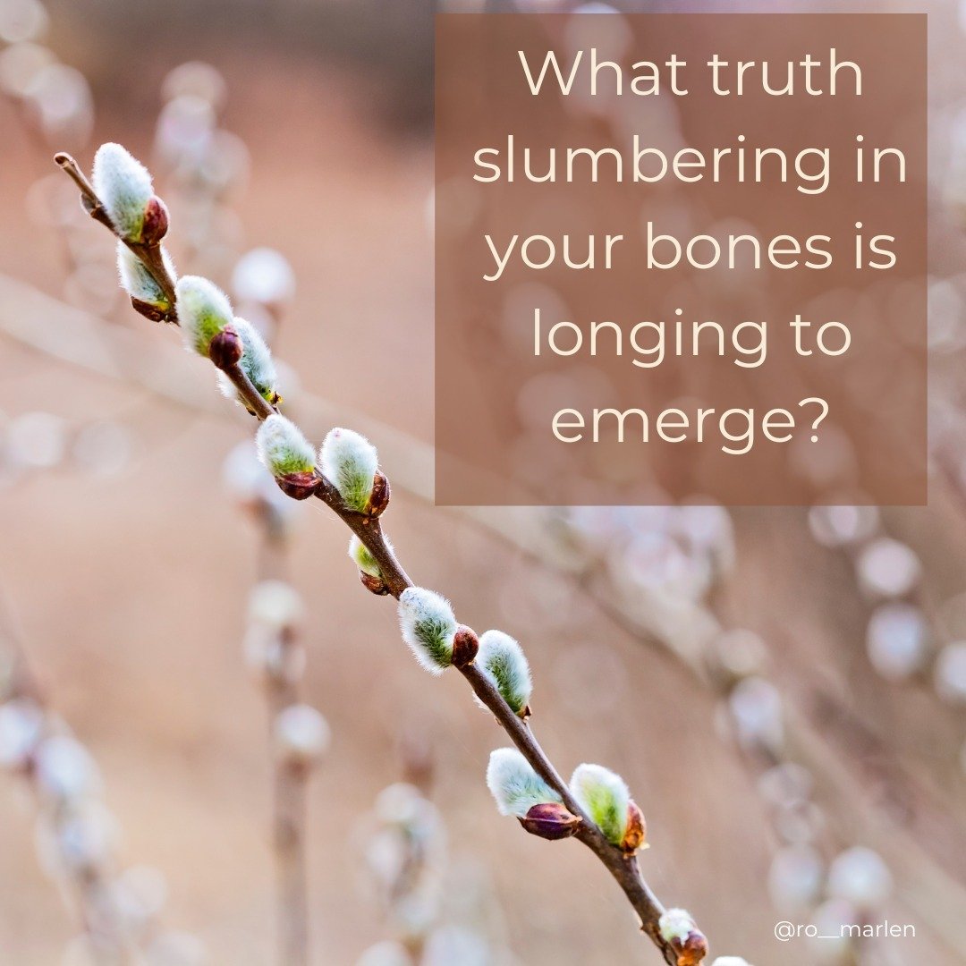 What truth slumbering in your bones is longing to emerge?

What do you hear your ancestors whispering?

What wisdom wants to be shared?
.
.
.
Like this post and follow me @ro__marlen if you want to:
🌟 Remember where you come from
🌕 Remember who you