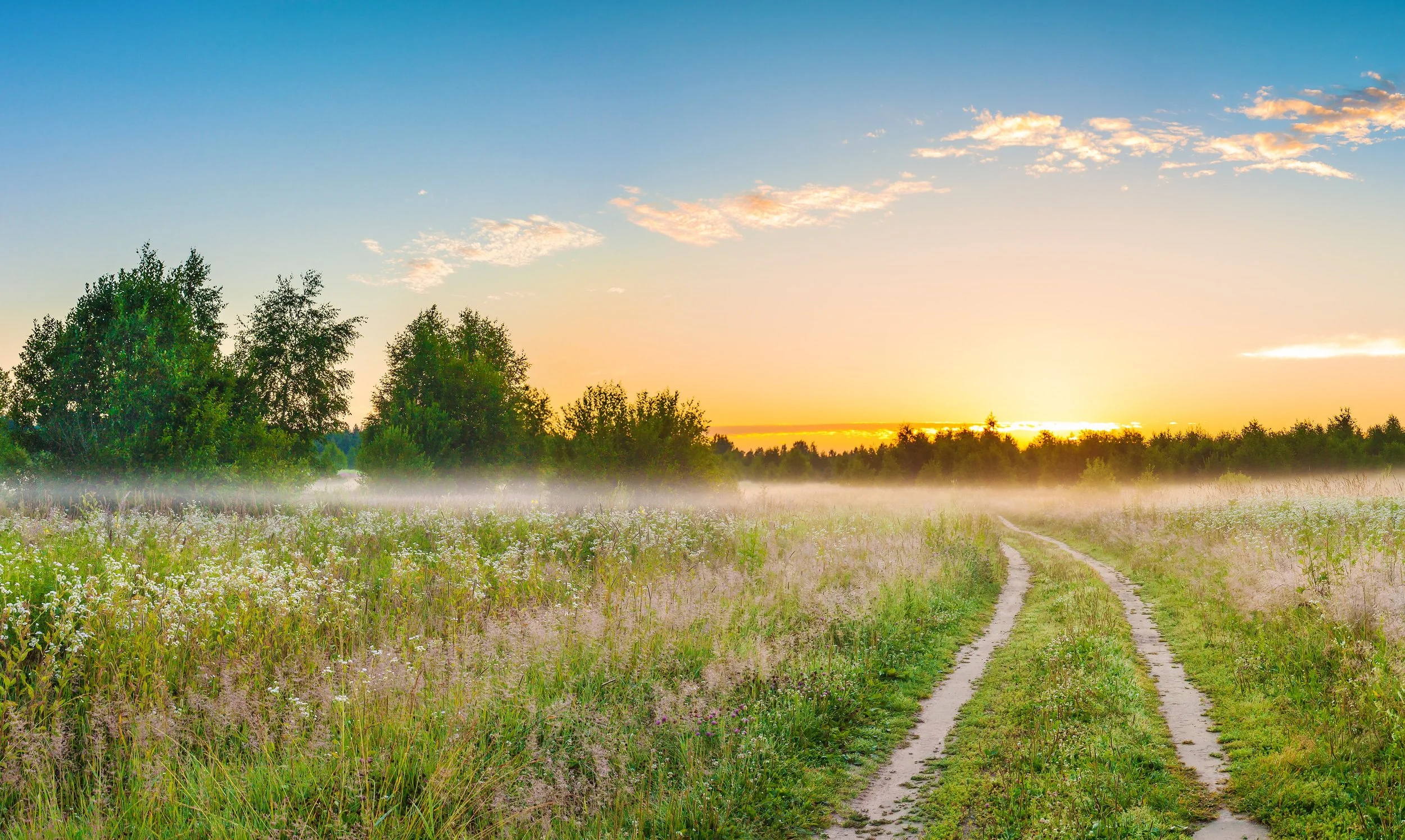 The Ones Who Stand at the Threshold: Are You a Thresholder?