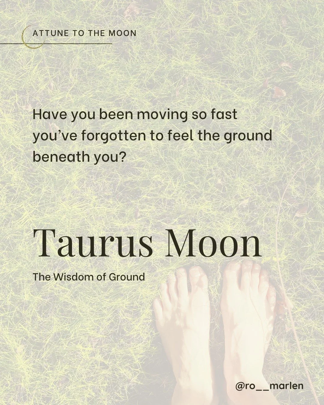 The Taurus Moon grounds us in Virgo season&mdash;reminding us to pause, unclench, and tend the soil of our lives.

As the Autumnal equinox nears, notice what&rsquo;s ripe for harvest and what still needs time.

Safety comes not from rushing ahead, bu