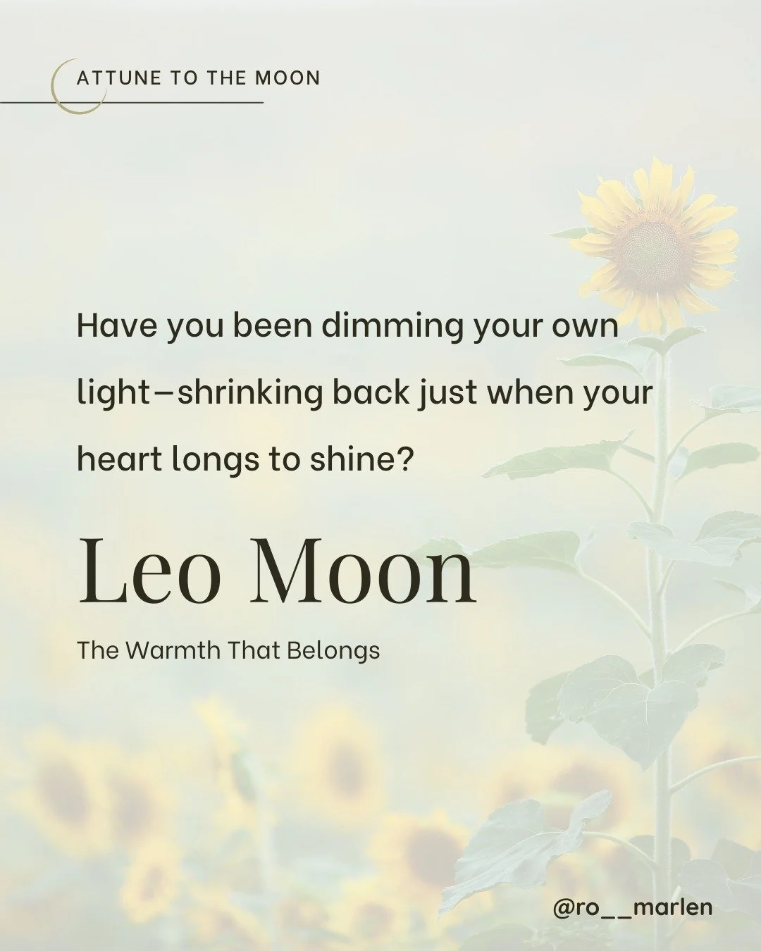 The Leo Moon lights the heart just before the equinox&rsquo;s balance.

This is not about performance or applause&mdash;it&rsquo;s about carrying your warmth into the darker half of the year.

Stand where the light touches you.
Let yourself be seen. 