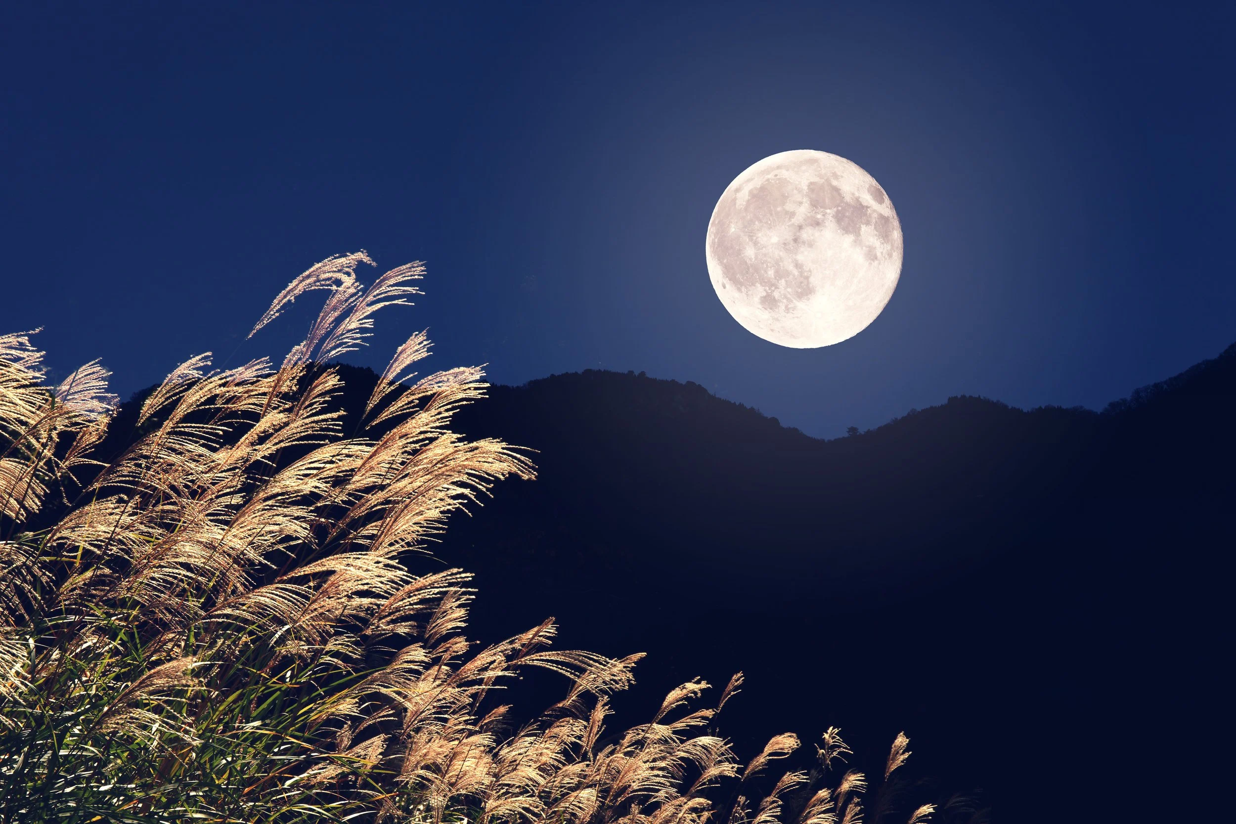 Your Cycle Tracker: Scorpio → Sagittarius