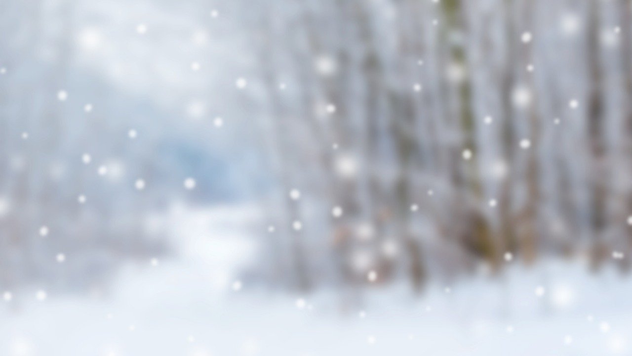 In the deep of winter, the world rewrites itself. Light gathers behind the veil, waiting for form.

Those who stay awake through these nights help weave the pattern of what comes next. Every candle lit in awareness, every dream remembered, strengthen