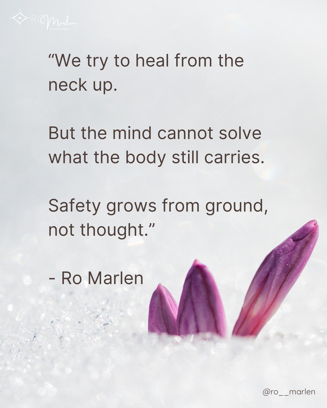 So much of modern healing begins in the mind.
We analyze, name, and interpret our pain until language becomes another layer between us and what is true.

But the body has never needed analysis. It needed presence.

Ground is not a concept; it is rela