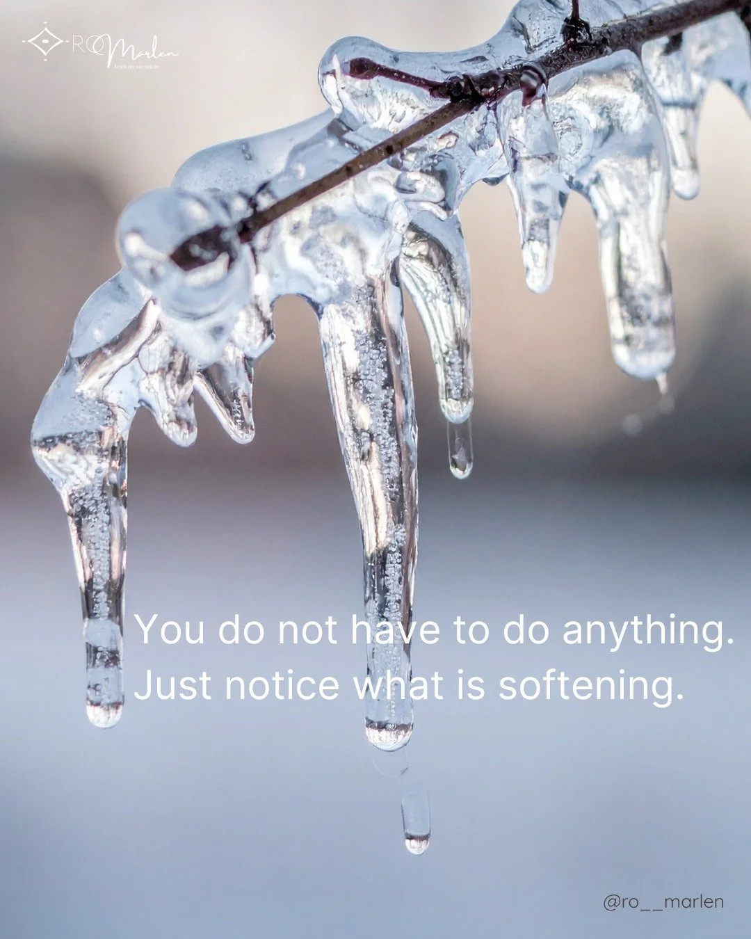 Every winter, I delight in the sound of dripping water &mdash; that first soft sign that the ice has given way.

That is what it feels like when the body begins to trust again.

The thaw always starts inside.

You do not have to do anything.

Just no