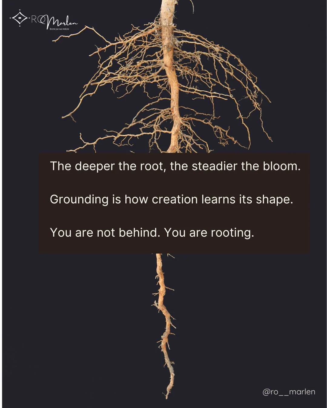 You&rsquo;ve been told to rise before you are ready.

To build without ground.

To move without breath.

But the Earth never rushes her becoming.

She grows down first.

The deeper the root, the steadier the bloom.

Grounding is how creation learns i