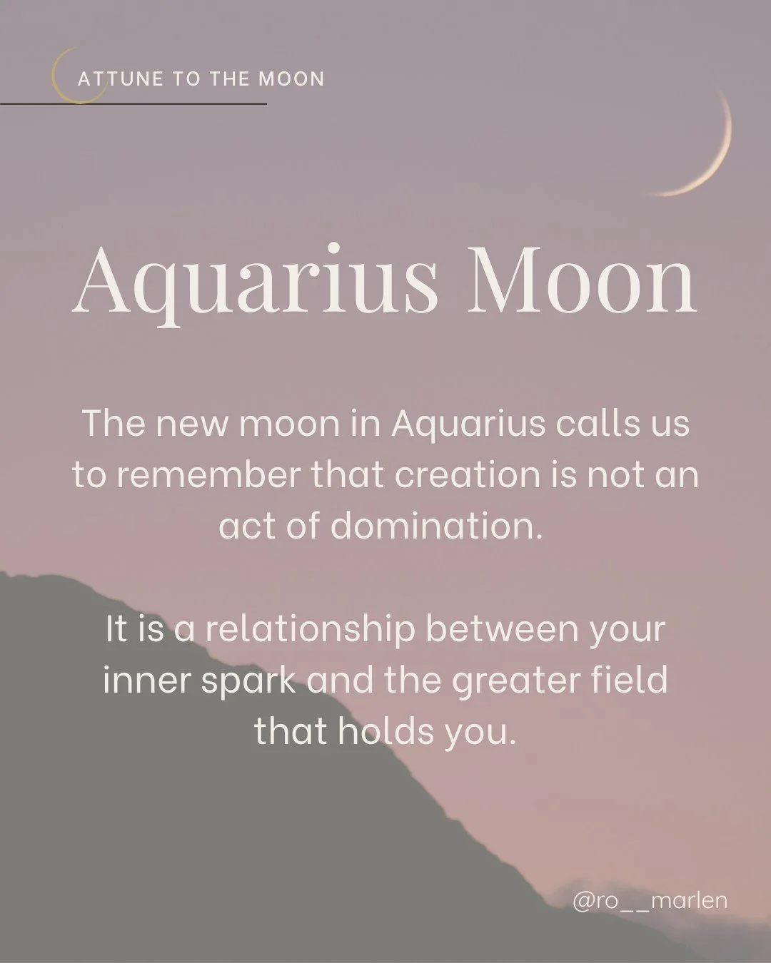 We are taught that creation means deciding, planning, and pushing.

But, just like in nature, life does not bloom because we force it to.

It blooms because we learn how to listen.

The new moon in Aquarius calls us to remember that creation is not a