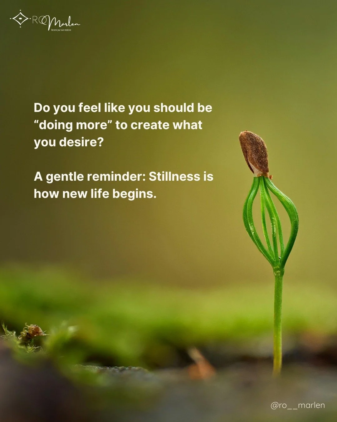 Every February, as winter turns toward spring, my clients and students feel they should be &ldquo;doing more.&rdquo;

I tell them:
Every seed begins in the dark.
It does not rush to the surface. It listens for warmth.

👉Your new beginning is doing t