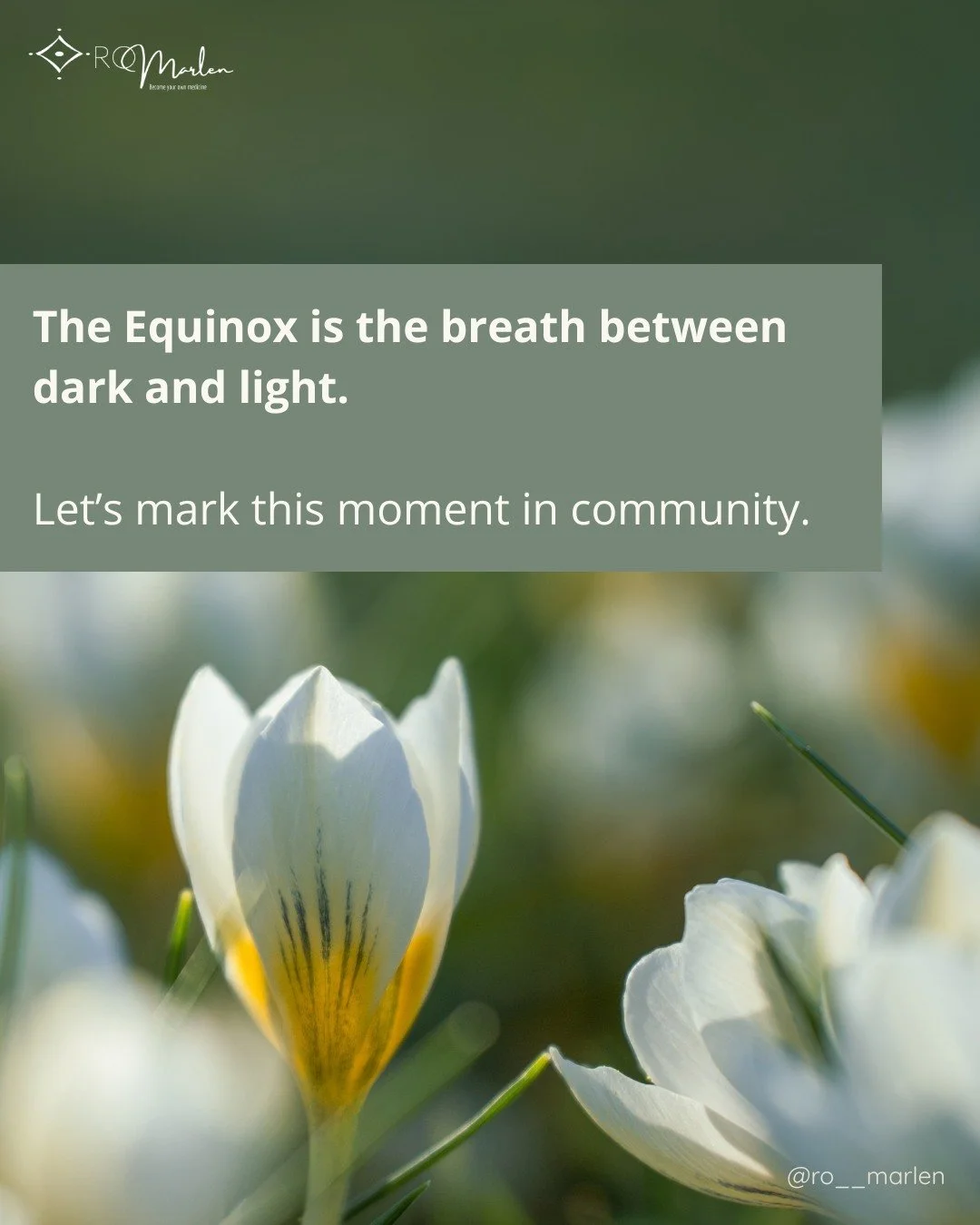 🌎 The Earth is turning toward spring, but it does not rush. 

The shift from dark to light is a slow, sacred balancing.

In my upcoming free 60-minute gathering to mark the Vernal Equinox, we will enter that threshold together &mdash; body, breath, 