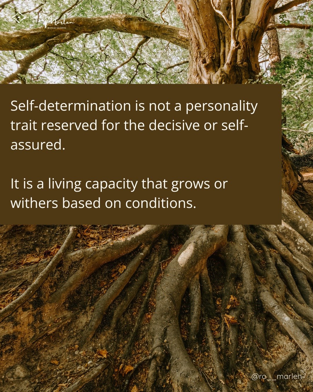 Like roots seeking water, self-determination grows in soil that hasn&rsquo;t been compacted by constant threat.

It depends on time that can stretch and gather rather than fracture...
and, belonging deep enough that choice can rise without being forc