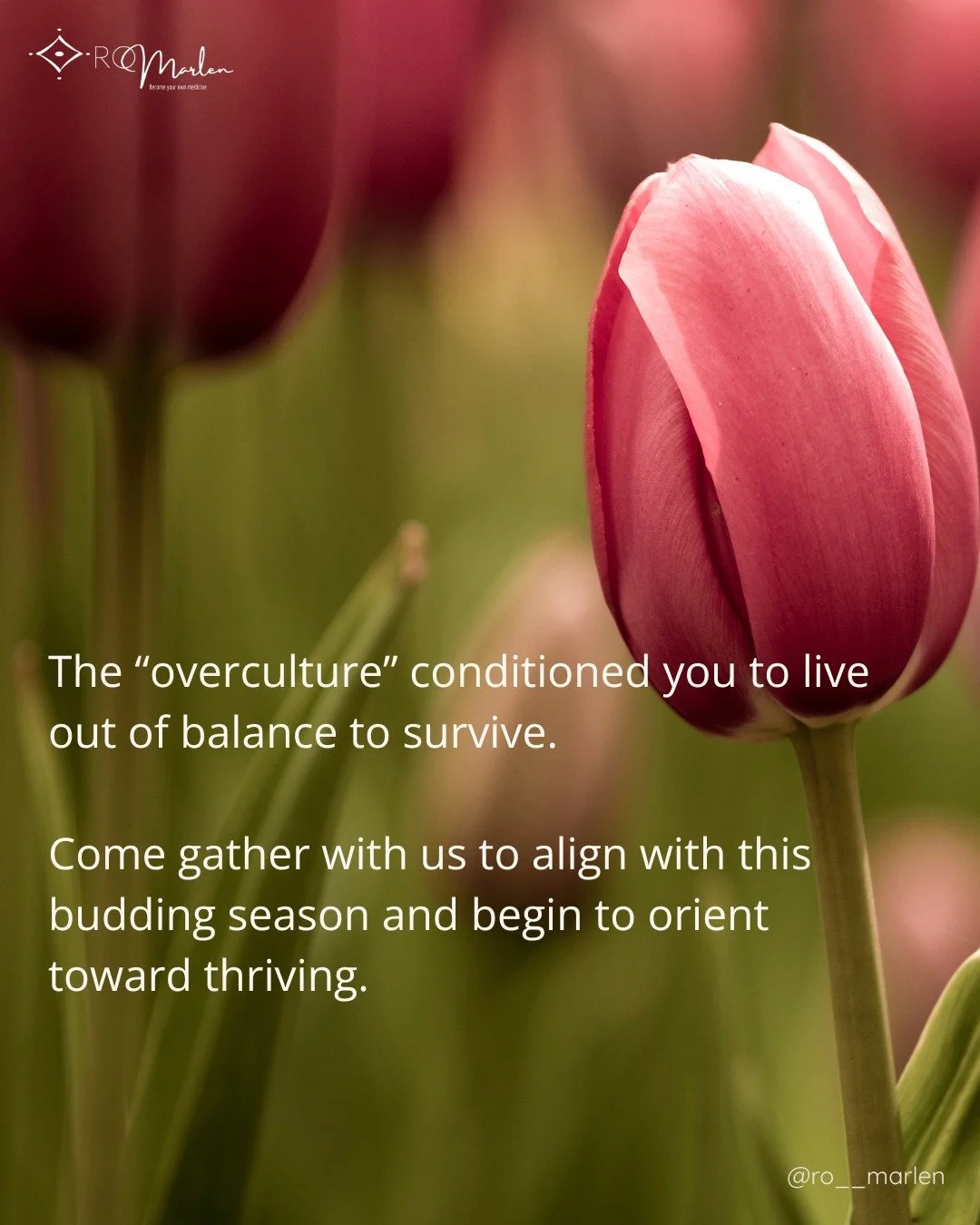 If you feel exhausted by the pressure to constantly produce, to push through, to be &ldquo;on,&rdquo; your body is not failing you. It is telling you the truth.

The world we were born into moves fast and values performance. 

Many of us were taught 