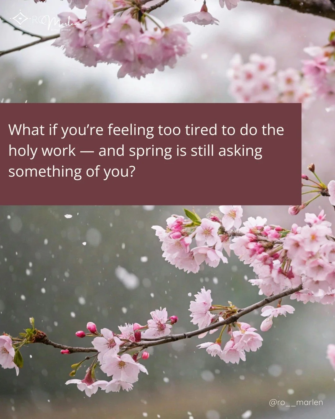 The seasons are shifting again.

In the wheel of the year, we are moving into spring, when the ground softens, the light returns, and what was held in winter begins to stir.

This is a threshold season.

A time when life starts asking for movement ag