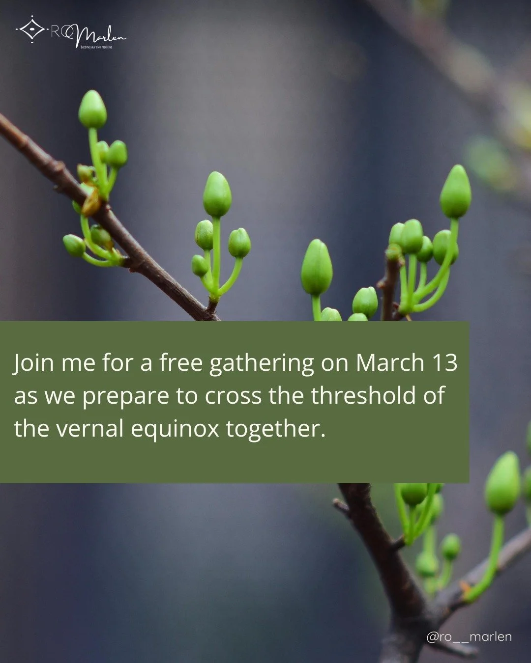 🌿 The energetics of the Vernal Equinox is subtle. Balanced. Precise. It invites us to return to center rather than surge forward.

That&rsquo;s exactly what we will do in my free gathering, Welcoming the Vernal Equinox: Balancing Light &amp; Shadow
