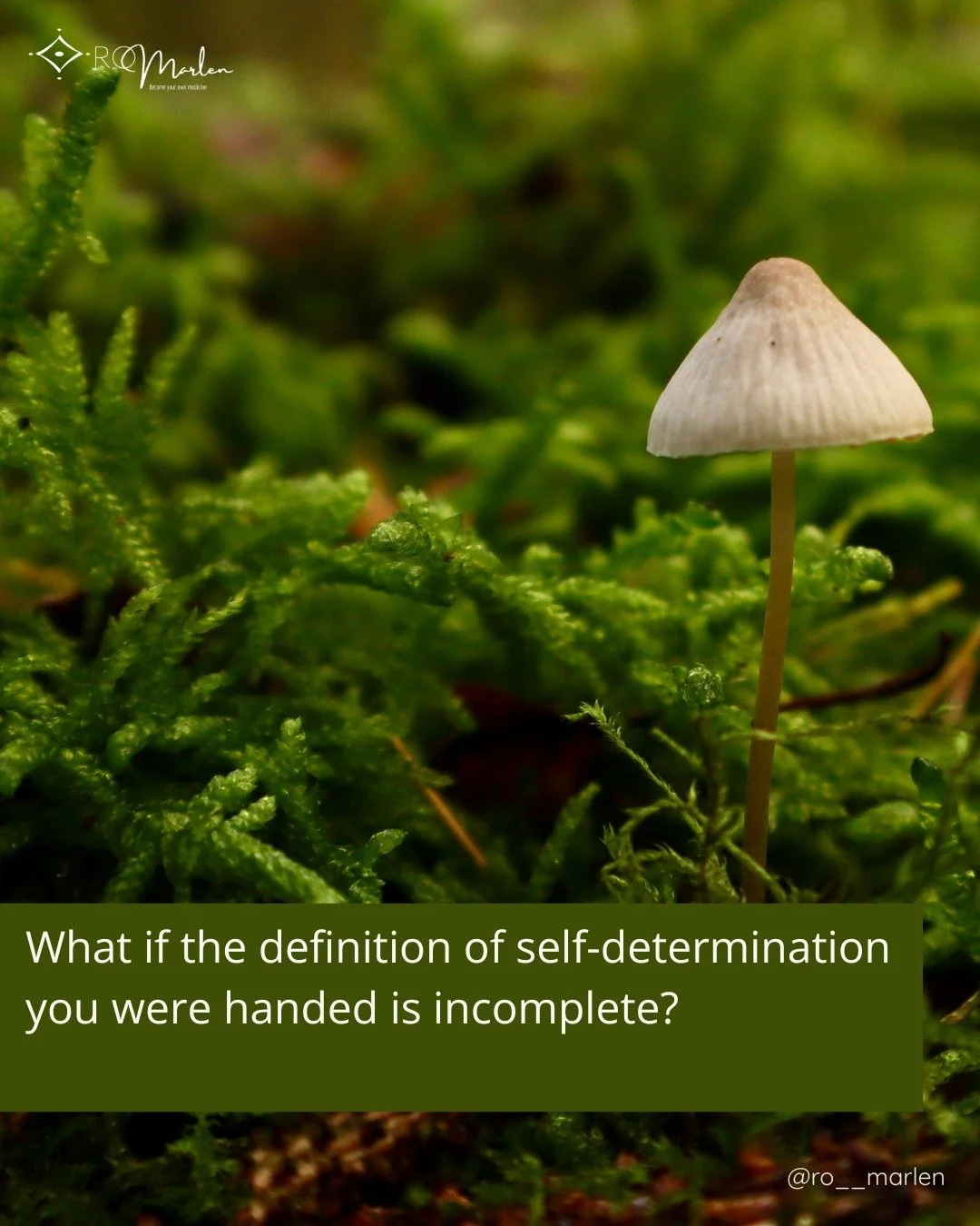 In much of contemporary Western culture, self-determination has been flattened into a story of individual will.

A self-determined person is imagined as independent, self-directing, decisive, able to assert their will and chart their own course.

Cho